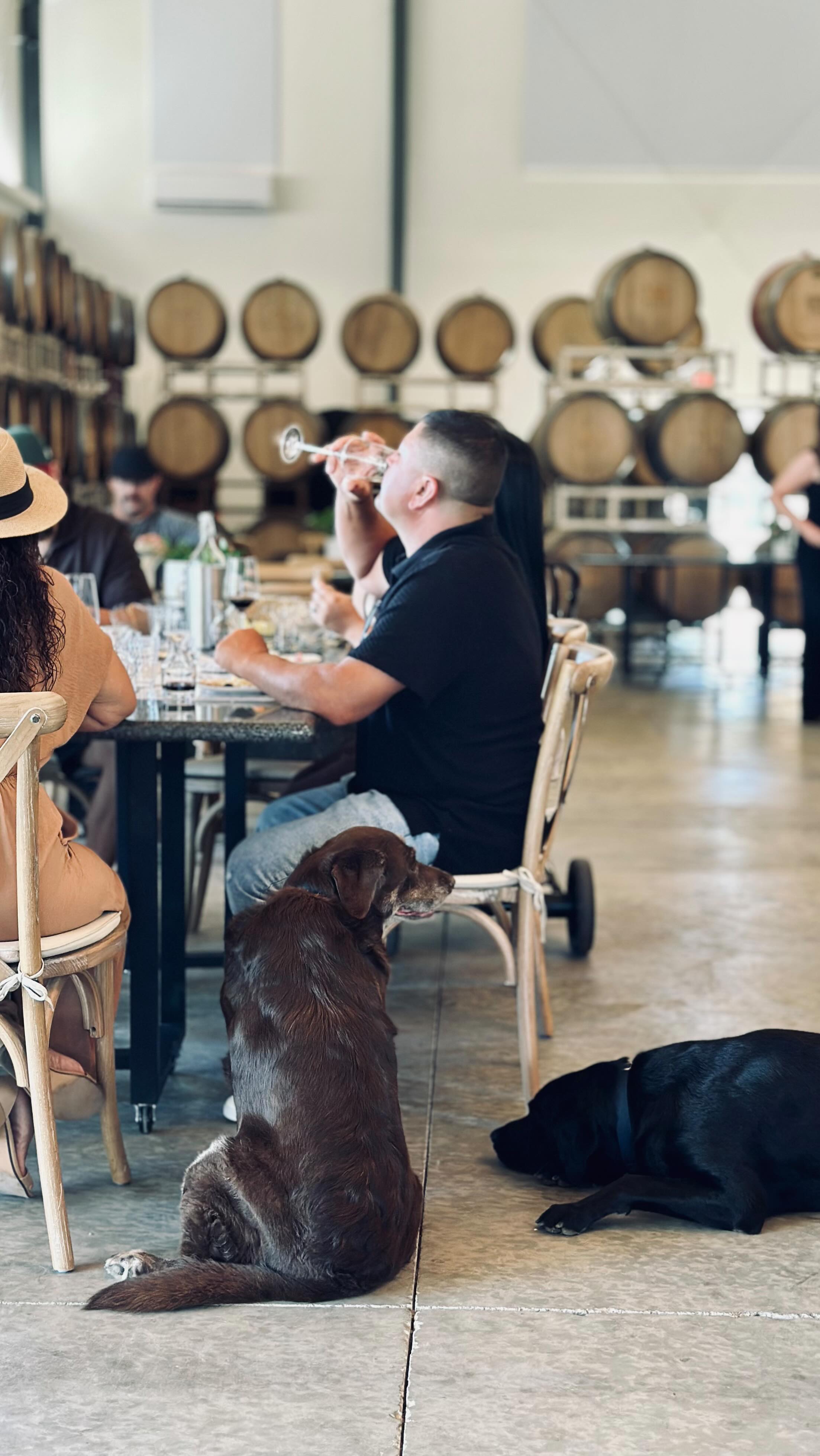 It’s a beautiful season to experience our Tasting Room inside and outside! Join us from 12-5pm Thursday through Monday. Live music and more events coming up soon, stay tuned!