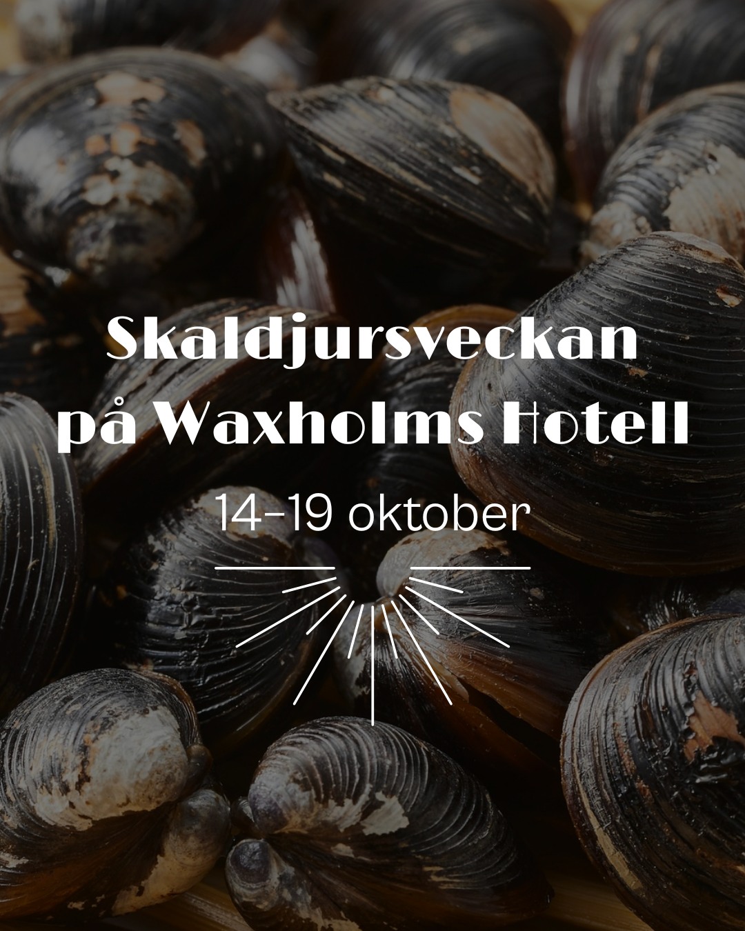 Nästa vecka smäller det 🦞
Skaldjursveckan på Verandan. Sex dagar av musslor, kräftor, vin, skratt och utsikt över kajen.
14–19 oktober.
Boka via vår hemsida innan någon annan tar din plats.