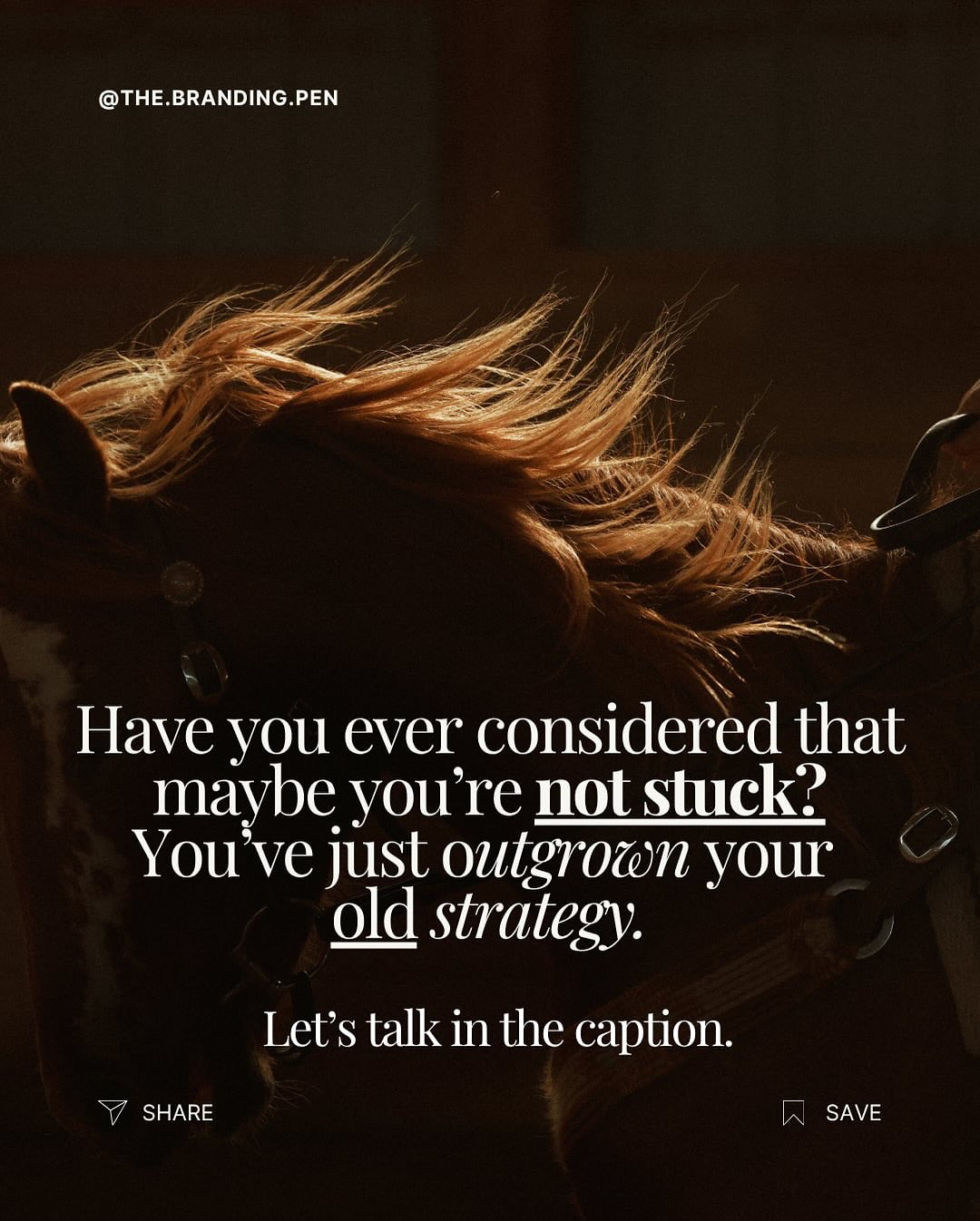 I don’t think that you’re stuck (and I wish you wouldn’t talk like that to yourself, also, but that’s another conversation.) I think you’ve just outgrown your old strategy. And the strategies that used to work, and no longer do.
You know that feeling when you’ve been running your business for a while… and suddenly, what used to work just doesn’t hit the same anymore?
Your posts don’t land the way they used to.
Sales are steady, but not growing.
You’ve got ideas — big ones — but you can’t seem to find the time or clarity to make them happen.
It’s like you’re driving a truck that used to run smooth, and now it’s idling rough. The engine still works — it just needs a tune-up, not a tow.
That’s the moment you’ve hit a wall — not because you’re doing anything wrong, but because you’ve outgrown your old way of doing business. And frankly, a lot of the old ways don’t work now.
Inside my coaching, I help rural entrepreneurs shift from “making it work” to “making it thrive.” We rewire both your marketing and mindset so you’re not throwing spaghetti at the wall — you’re moving with purpose, clarity, and strategy that converts. Why does the mindset aspect matter so much?
If this sounds familiar, it’s time for your next level.
DM or comment COACHING and let’s turn that plateau into momentum.
•
•
•
#ruralbusiness #ranchlife #farmbusiness #ruralmarketing #ranchbusiness #westernentrepreneur #ruralentrepreneur #smallbusinesscoach #businessgrowthcoach #brandingpen