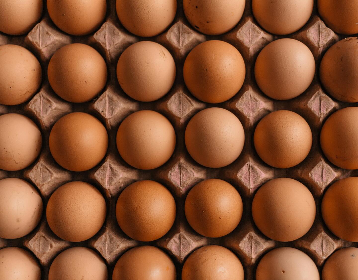 🥓🥚!!KONKURRANSE PÅ FACEBOOK!! 🥚🥓
Kan du gjette hvor mange egg Dreggen Kro har servert i juni, juli og august?🤌🏼
Delta i konkurransen og vinn en middag for to fra menyen våres!🫶🏼
-Delta ved å skrive antall egg på Facebook 🥚🥓
-Tagge den du vil dere middagen med💫
Konkurransen avsluttes 26 oktober, kl 18.00! 🌟