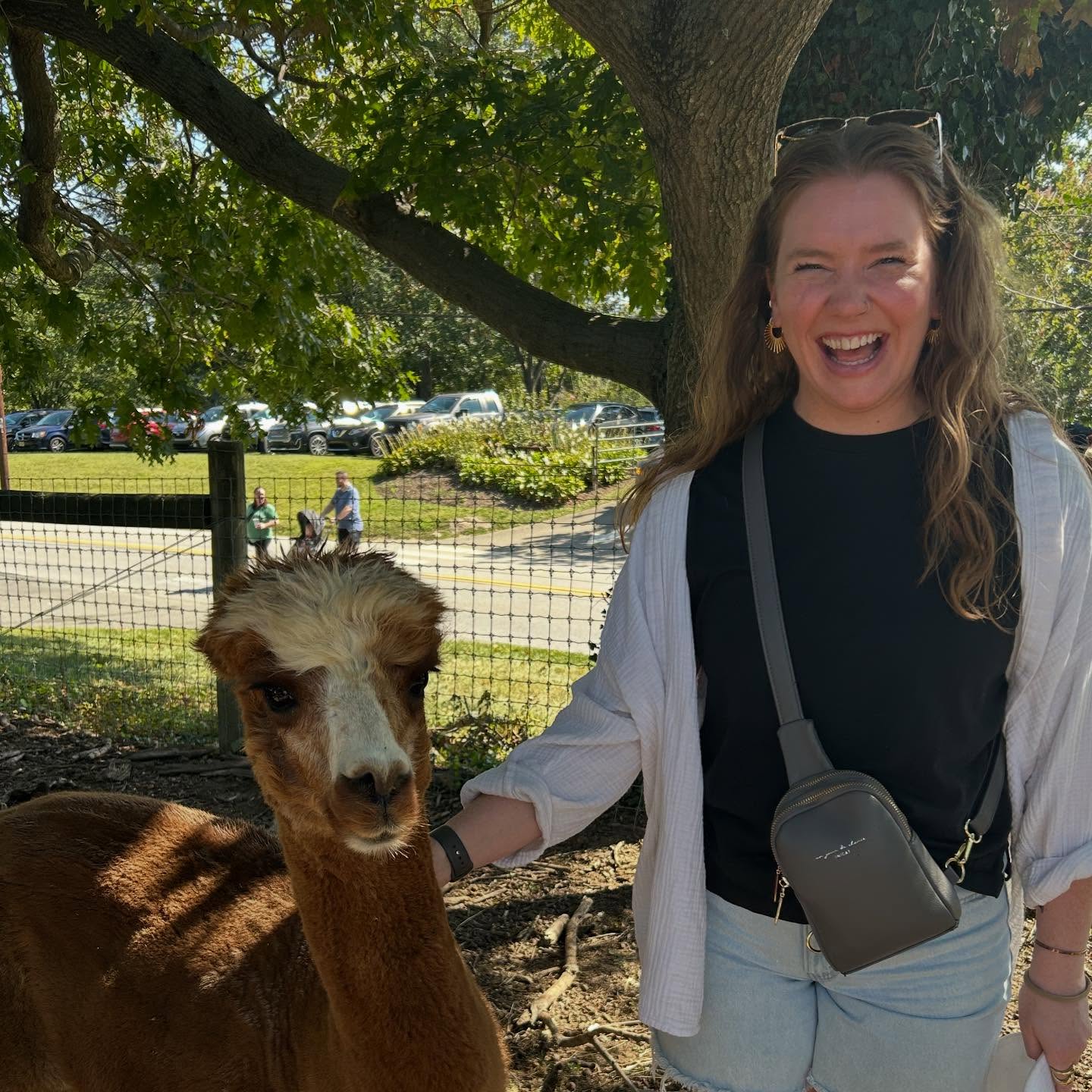 A belated September recap (trumpet free edition)