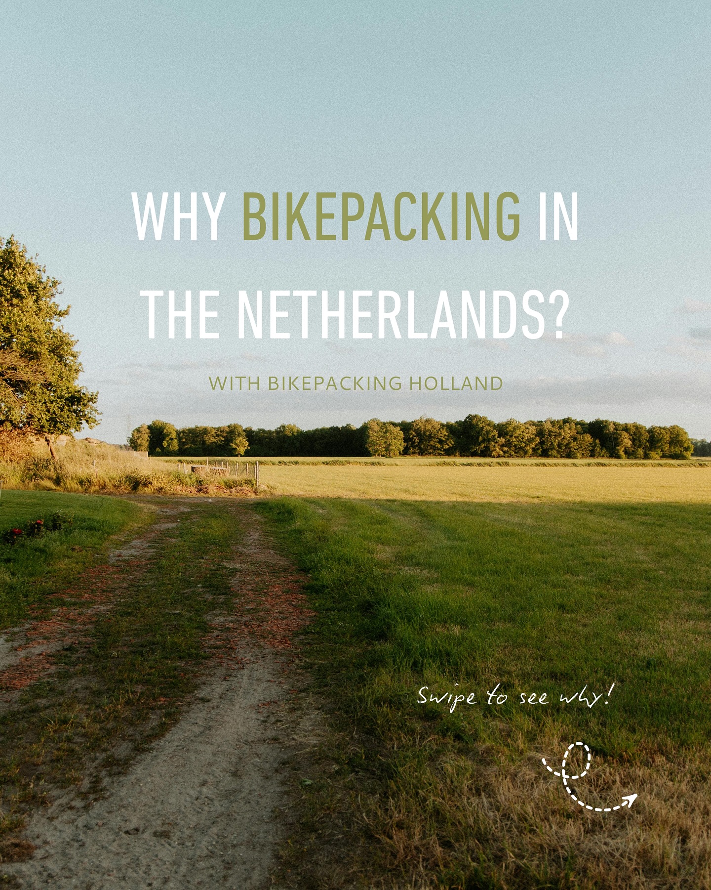 Why bikepacking the Netherlands with us? 🚲
Our hostels actually get cyclists — safe place for your bike, warm bed, friendly people. The routes link the best spots. Dunes, forests, small towns, cities. Go at your own pace, stop where it feels right.
Want to plan your ride? Our interactive map on the website makes it easy. Bikepacking has never been this simple. 🌿
#bikepackingholland #bikepacking #cyclingadventure #explorenetherlands #hostellife