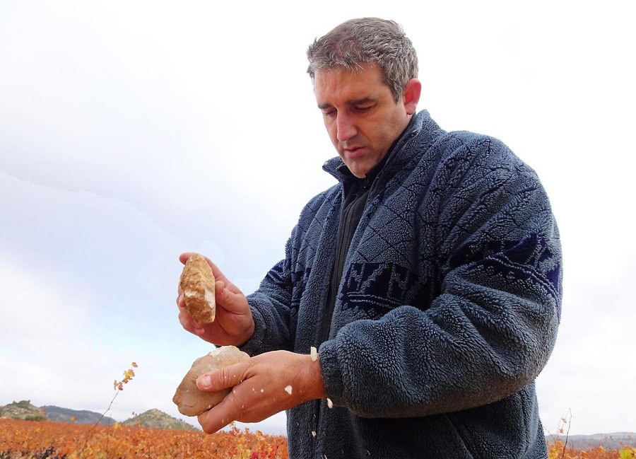 Arturo Blanco de Miguel of Bodegas Artuke is at the forefront of the viticultural revolution which has been quietly taking place in Rioja. Farmer and a vine grower first and foremost, he continues the work of his parents in Baños del Ebro (Rioja Alavesa). We usually meet with Arturo in Spain at the wine fairs and it is always a joy to taste with him… his amazing wines, as well as chorizo made at home by his mum (a real treat!). Come and taste with Arturo at this year’s SPIT - we guarantee his wine will challenge any preconceived notion you may still have about Rioja!
#wine #dublin #winedublin #wineireland #ireland #spit #spittasting