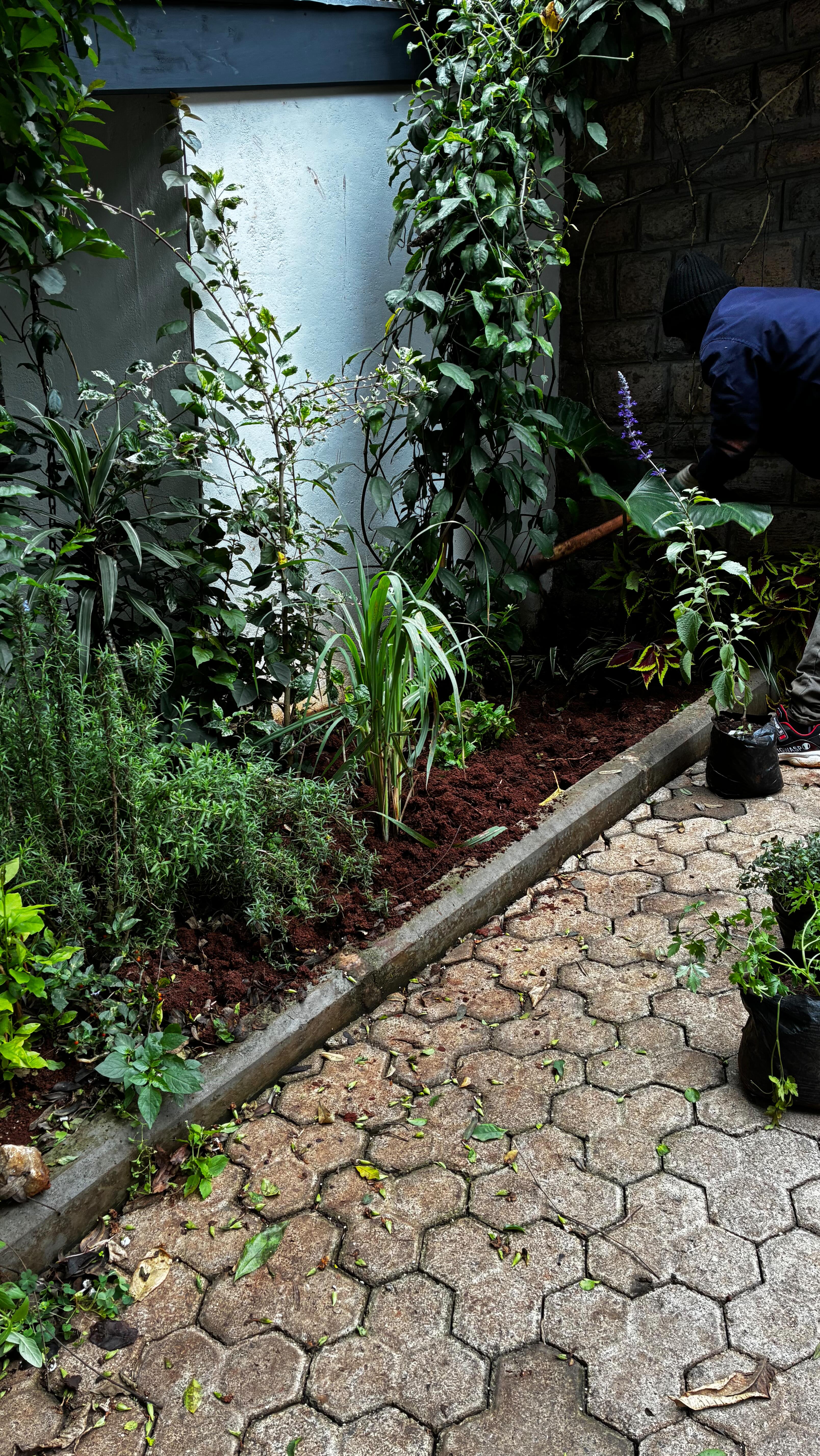 What a fantastic time setting up kitchen gardens for our client’s lovely home! 🌿 💦🌾🐝
We planted a great variety of crops and trees, and spent time training her staff on key aspects like soil and plant health, intercropping, and pest management and also improving and making use of existing areas. Excited to see this garden thrive and come to life in the coming weeks! 🌾🐝💦🌿🪻