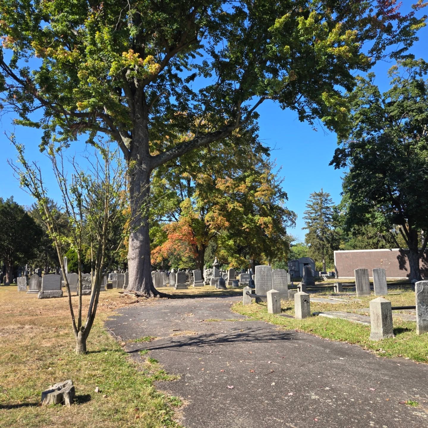 Our view for the afternoon at the Ghosts of the Past Cemetery Tours. Join us! The last tour leaves at 4 pm! Walk ups are welcome.