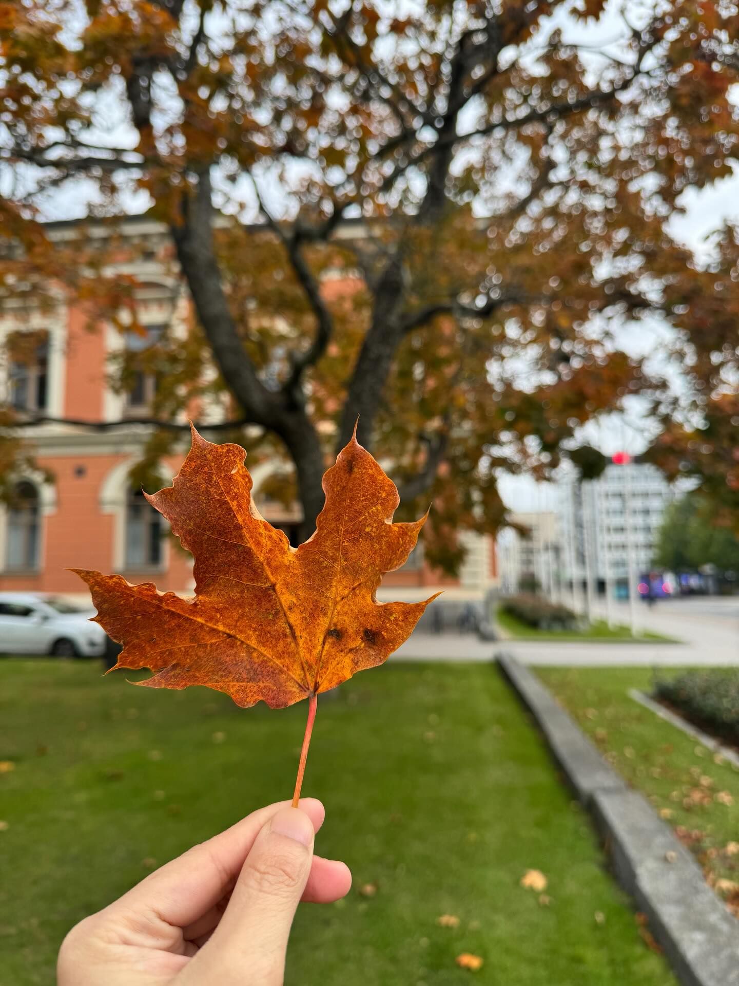 Ihanaa syyspäivää juuri sinulle 🍂🍁