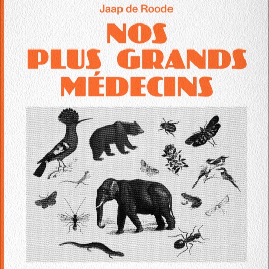 Excited to see the French edition of my @princetonupress book #doctorsbynature come to live with @les_liens_qui_liberent. I love how all publishers pick out different animals for the cover, and this is the first one with an elephant. In both Africa and Asia, people have long looked at elephants for medicinal wisdom. In Tanzania, for example, traditional healers treat people with stomach upset with a tea invented by elephants. And mahouts in several countries in Asia are bringing back the knowledge they learned from elephants to allow elephants to heal themselves.