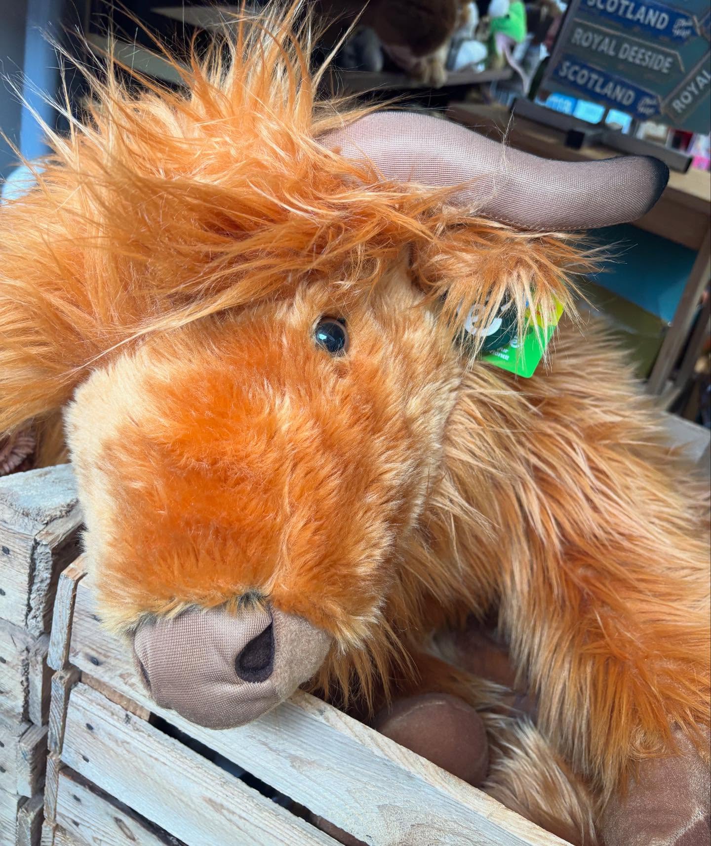 Some of our lovely stock ๐ฉท Are you thinking of Christmas already? Why not pop down to Deeside Gifts and find that perfect gift for your loved one. ๐ซ๐
๐ผ