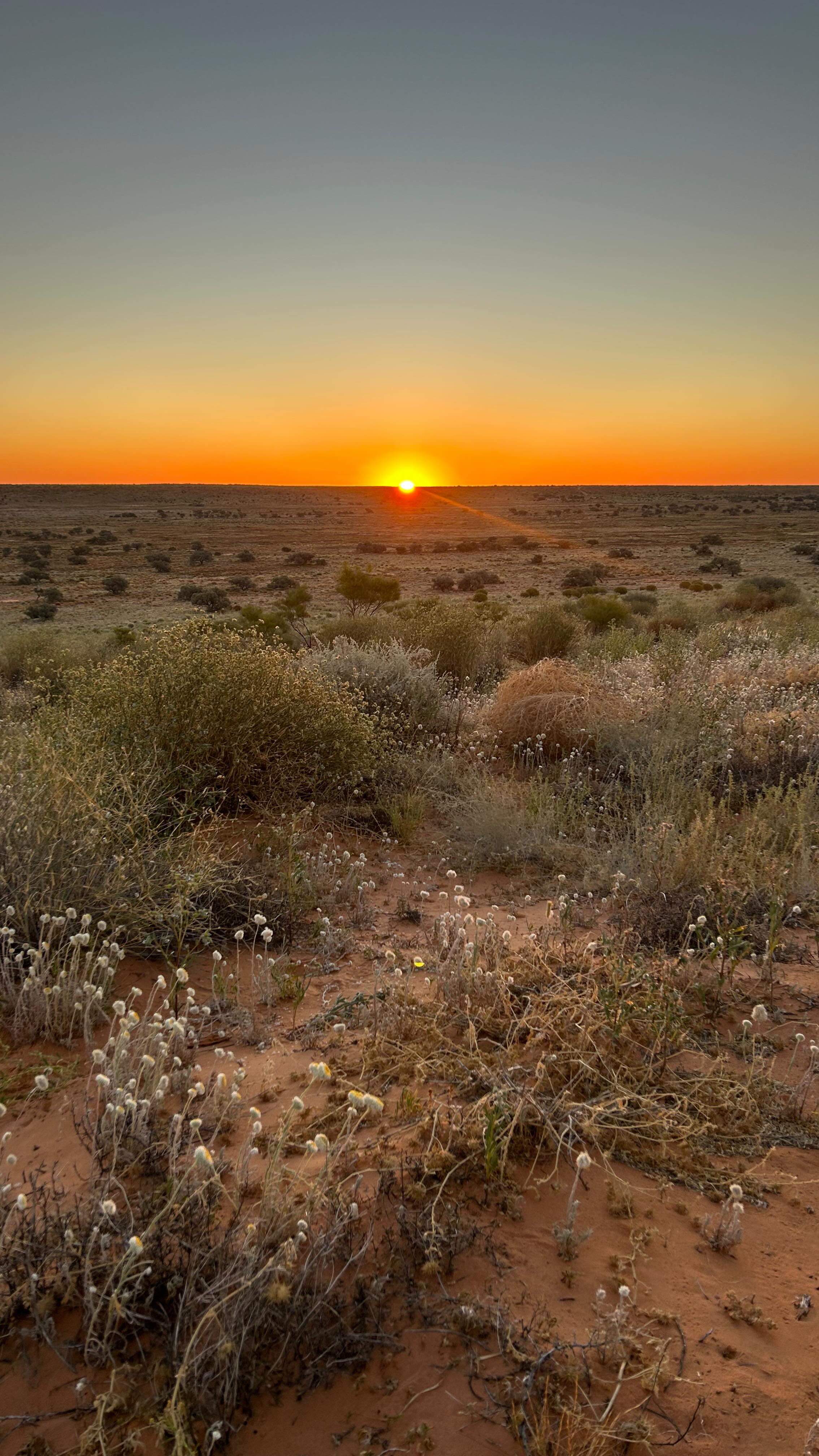 — POV: You hire a 4WD from @overlander4wdhire, join a tag-along tour with @australian_4x4_treks & instantly forget what a sealed road looks like 🚧
#toyotahilux
#toyota
#landcruisers4wd
#landcruiser
#tagalong
#fyp
#simpsondesert
#trayoncampers
#arb
#foryoupage
#bridgestone