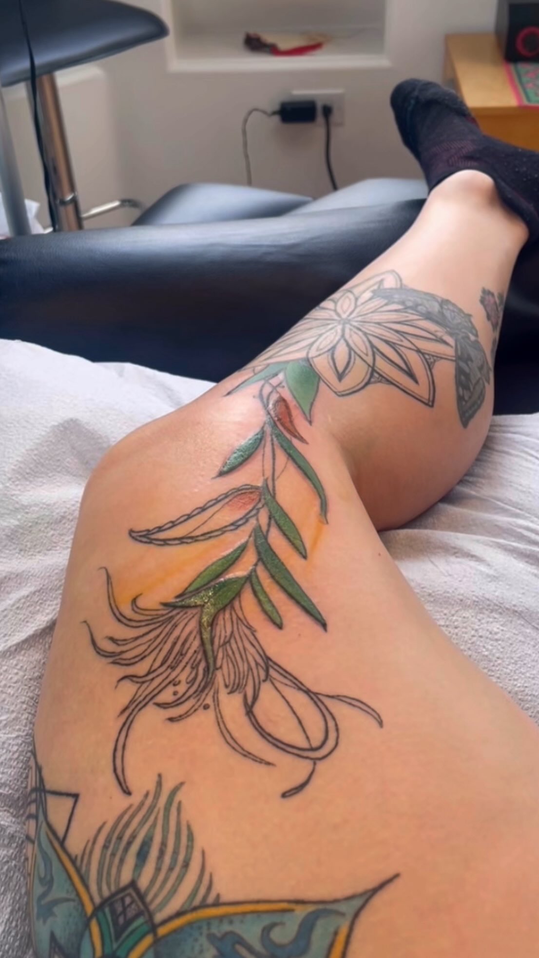 Coherence through connection 🤲🏼
In the presence of another, we begin to sync.
Heart rate, breath, brain waves attuning & adapting. We are always feeling each others frequency ~ sensing, responding, shifting.
You feel it, when someone is grounded. Your system begins to regulate in their presence. Your nervous system relaxes. Your breath deepens.
The space between you begins to harmonize.
And when someone’s rhythm is jagged or heavy with stress, your body feels that too. The nervous system mirrors it, contracts, protects.
This is our inherent somatic wisdom. Your body is constantly reading the room. It knows what alignment feels like, and what drains your vitality.
My invitation to you is to notice.
To pause and sense where coherence lives in you. To feel where it falters in the presence of the world. To become the rhythm that restores harmony, within and around you.
Come back to your own pulse…
To the steady beat beneath the noise.
Let it guide you home.
𝑊𝑎𝑛𝑡 𝑎 𝑓𝑟𝑒𝑒 𝑚𝑒𝑑𝑖𝑡𝑎𝑡𝑖𝑜𝑛 𝑡𝑜 ℎ𝑒𝑙𝑝 𝑔𝑟𝑜𝑤 𝑦𝑜𝑢𝑟 𝑙𝑖𝑠𝑡𝑒𝑛𝑖𝑛𝑔 𝑠𝑘𝑖𝑙𝑙𝑠?
#dreamweaver #futureself #softlife #freemeditation #soulful #embodiment #energyarchitecture #luminousfield #coherence #attunement #tattoomagic