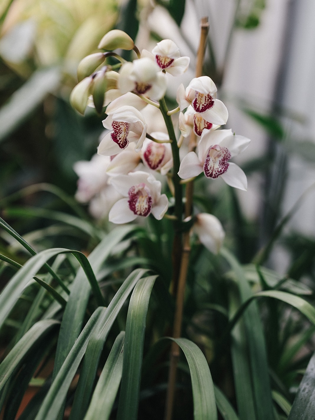 Little corners and details my absolute favorite venue in Antigua… all events here always inspire me so much!