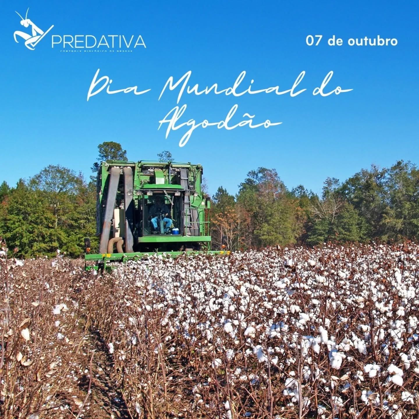 Tecnologias sustentáveis são cada vez mais essenciais para garantir maior produtividade de algodão.
Nessa linha, a Predativa desenvolveu uma solução baseada em automação para produção on farm de agentes macrobiológicos com foco no combate de pragas agrícolas.
São biounidades compactas e escaláveis que permite ao produtor reduzir o uso de defensivos químicos e ainda garante economia em mão-de-obra, materiais, energia elétrica e custo produtivo global.
Entre em contato conosco pelo site na bio ou redes sociais e saiba mais.
#algodão #bettercotton #bettercottoninitiative #bioinsumos #biodefensivos #predativa