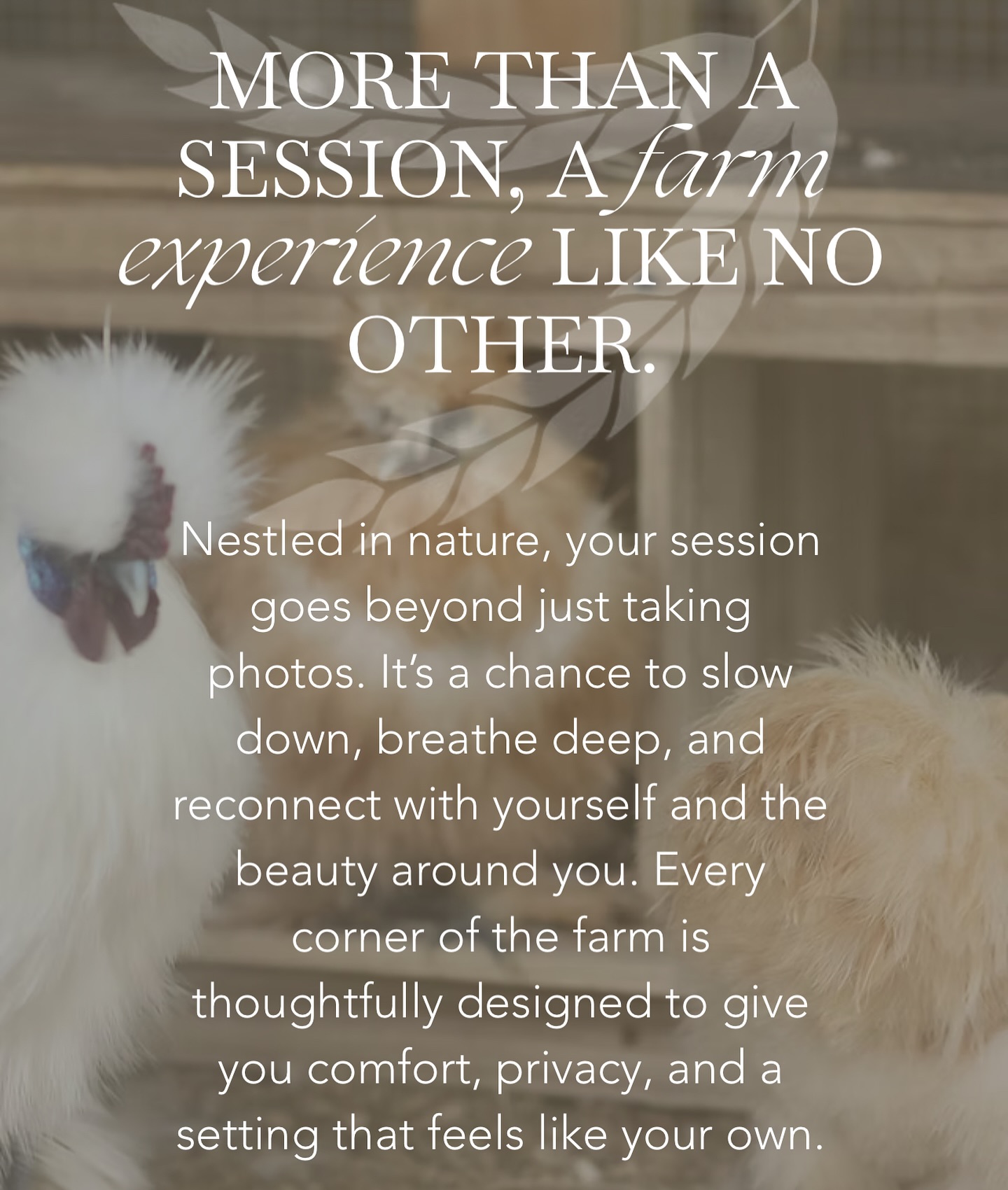 Lavish Studios
Country Boudoir Perfected
www.thelavishstudios.com