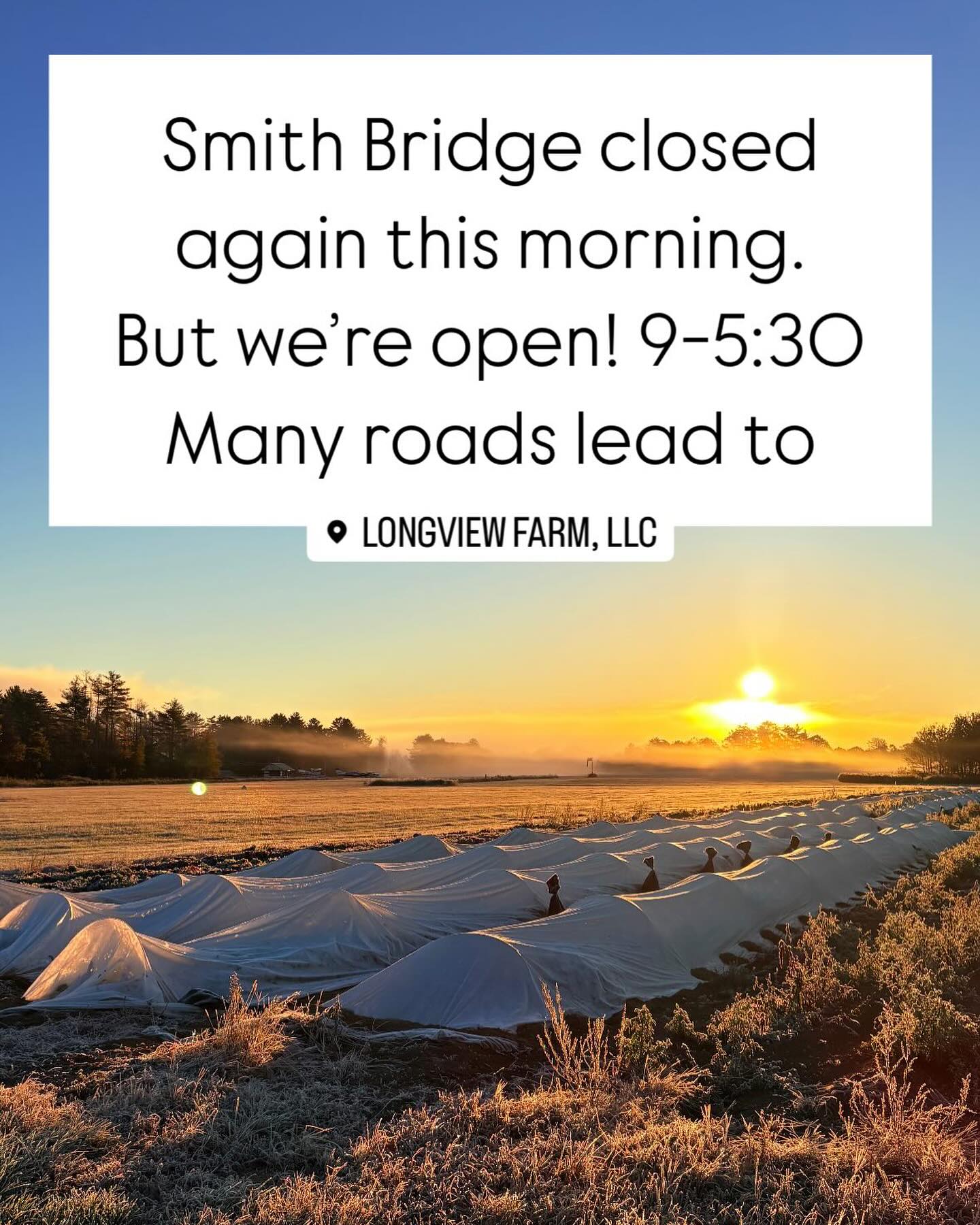 #longviewfarmstand #frostymorning