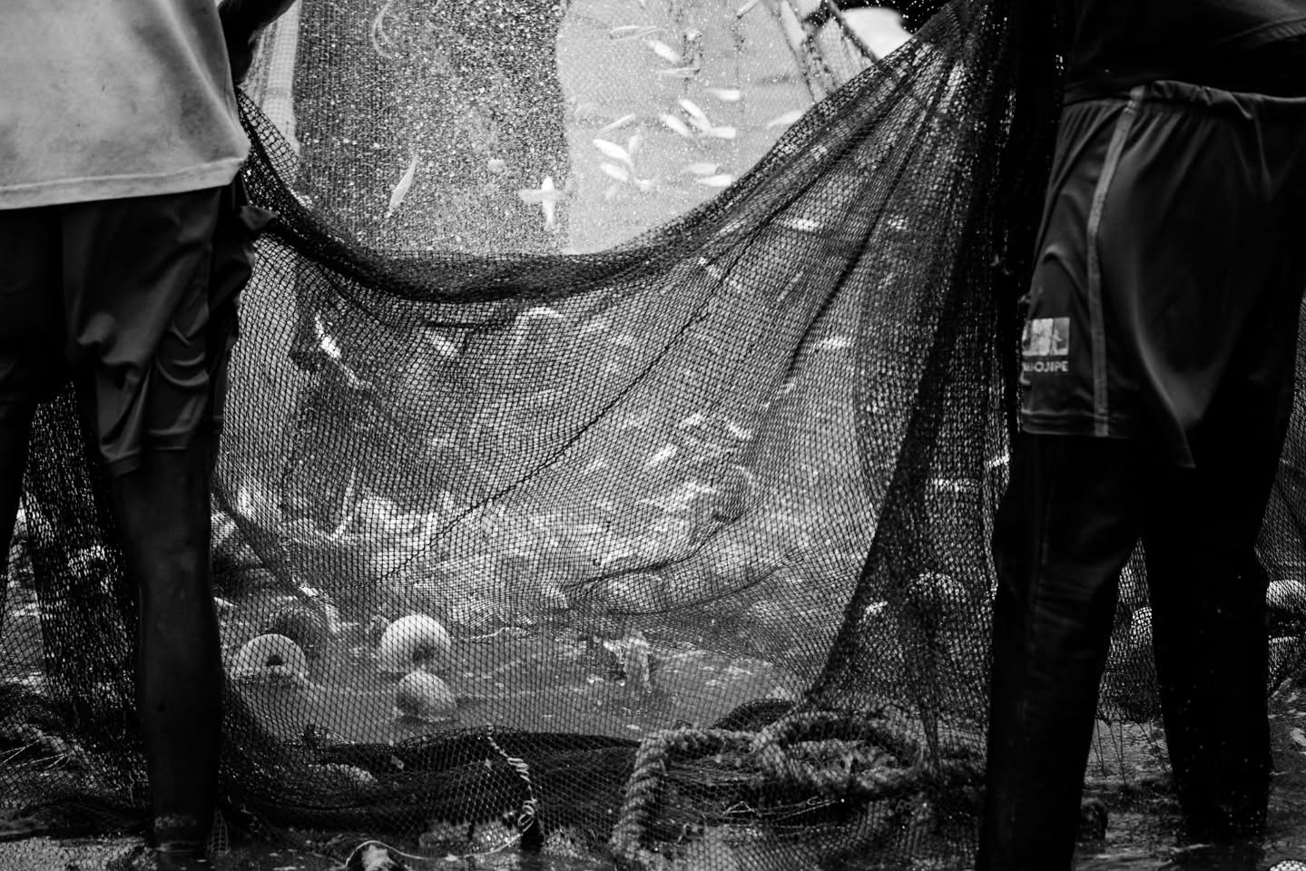 Eu gosto muito das fotografias que contam história.
Que possuem camadas de leitura.
Essa foto me chamou a atenção justamente por esses motivos.
Claro que não estou desmerecendo as fotografias que chamam a atenção pela estética apenas, até porque as faço também.
Mas essas fotos que possuem mais do que apenas uma imagem, marcam meu coração.
A arte da captura do instante decisivo me cativa muito.
Viva Cartier-Bresson!
E você, o que pensa sobre o que escrevi e sobre a foto que postei?