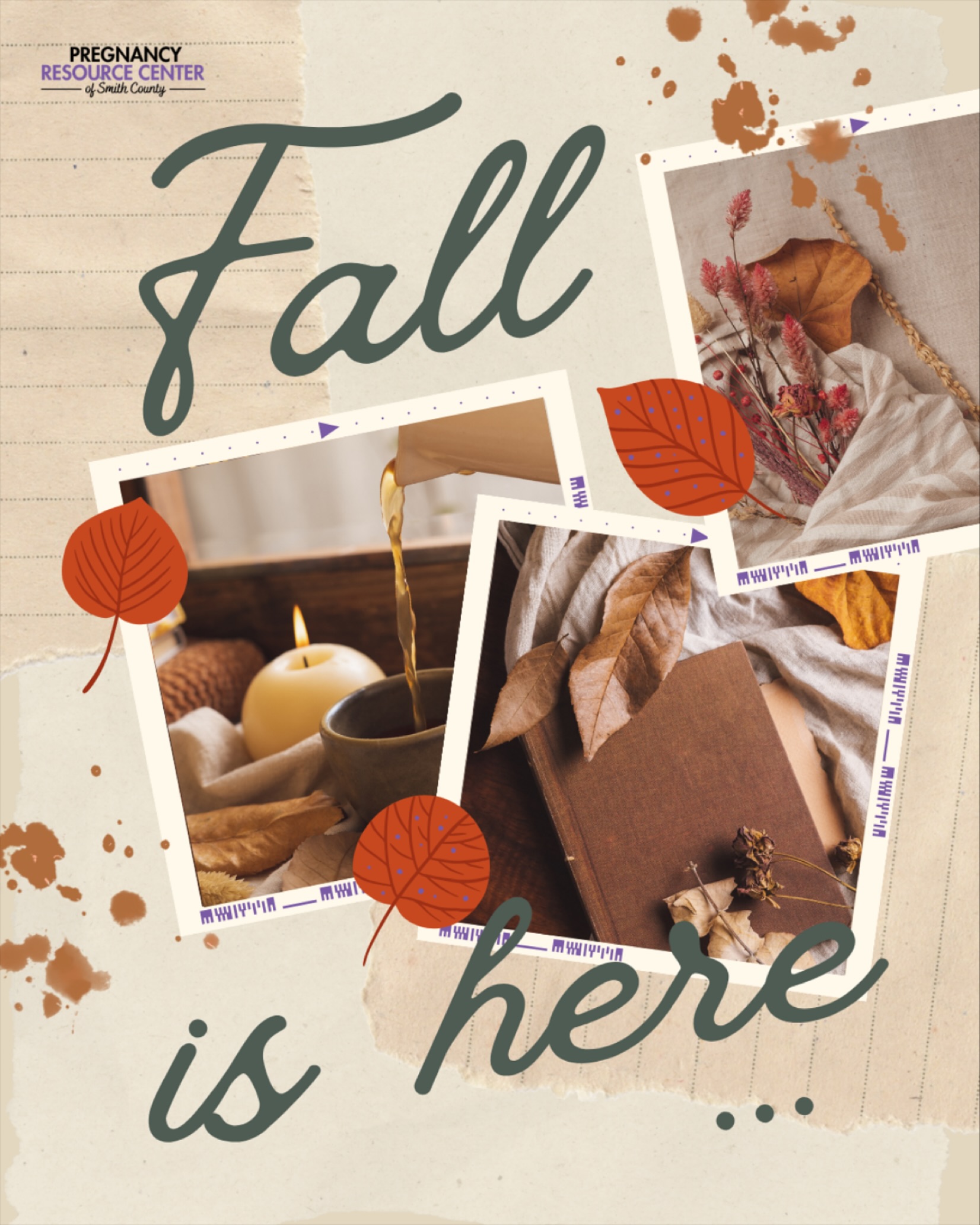 Something about fall just makes us all want to curl up with a blanket, a hot cup of tea, and a good book. What are your favorite fall activities? Comment below!