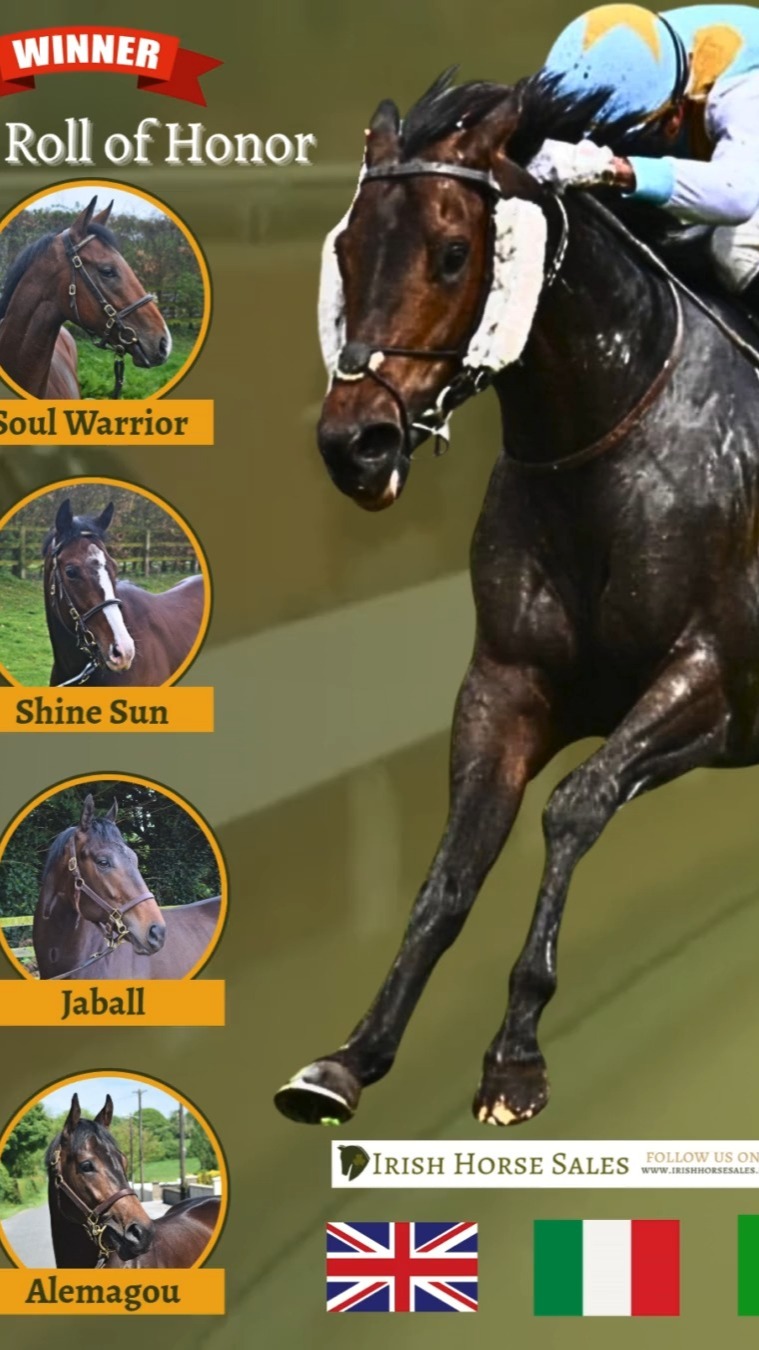 As Autumn sale season is underway, hope, heartbreak, and high stakes await. The 2025 yearlings will be vying for the attention of the best owners and trainers in the industry in just a few short months.
Everyone’s doing their homework: poring over catalogs, clocking up hours viewing yearlings, feelings of surprise, disappointment, and excitement.
Our campaign is well underway, some yearlings are back in their stables with sales stickers still clinging to their shiny bums, some are broken and back out to grass, and some haven’t yet stepped into the sales ring.
We'll take a moment reflect on some of our graduate success of 2025, and hope for even more success in 2026.
Its a tough job, emotionally, physically and spiritually (if you are that way inclined!), but you've got to live, breath and love it to give it a go, best of luck to all consigners in 2025/26 🍀
Exciting bunch of stock so far from Oasis Dream, Blue Point, Invincible Spirit, Dark Angel, Mehmas, Minzaal and Ghaiyyath.
2026 dreams are being built one yearling at a time and the journey to the breeze-up ring has already begun. Let's kick on strong for 2025/26! 🍀
Which sire are you most excited about this Breeze-up season? We already have our Minzaal, wouldn't mind a nice Baaeed in our Christmas stocking!
💡Thinking of dipping your toe in a breeze-up? contact us 📲
#YearlingSales #BreezeUp2025 #IrishThoroughbreds #RacehorseLife #EquestrianIreland #ConsignersCorner #OasisDream #BluePoint #DarkAngel #breezeup @brzups @tattersalls.ie @tattersalls1766 @tattscheltenham @goffs1866 @goffs__uk @juddmonte @darleystallions @irishnationalstudandgardens @tallyhostud @shadwell_eu @swettenhamstud @harasdebouquetot