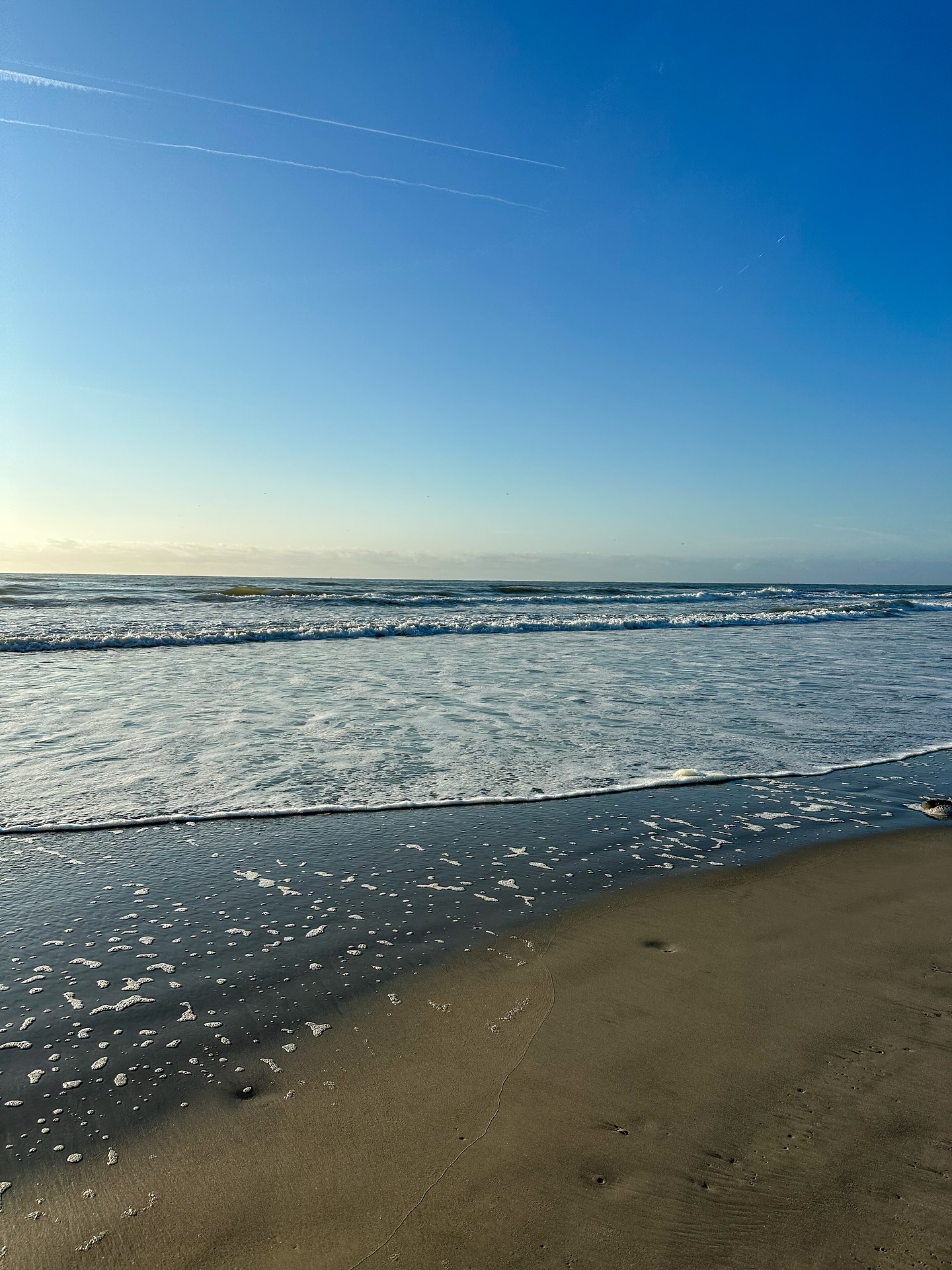 Sooo peaceful
A few photos of the beach before I return back to Chicago photos and then national park photos!
.
.
.
#NJSpots #YesVisitTheUSA #TLPicks #VisitTheUSA #ExploreTheWorld #girlswhotravel