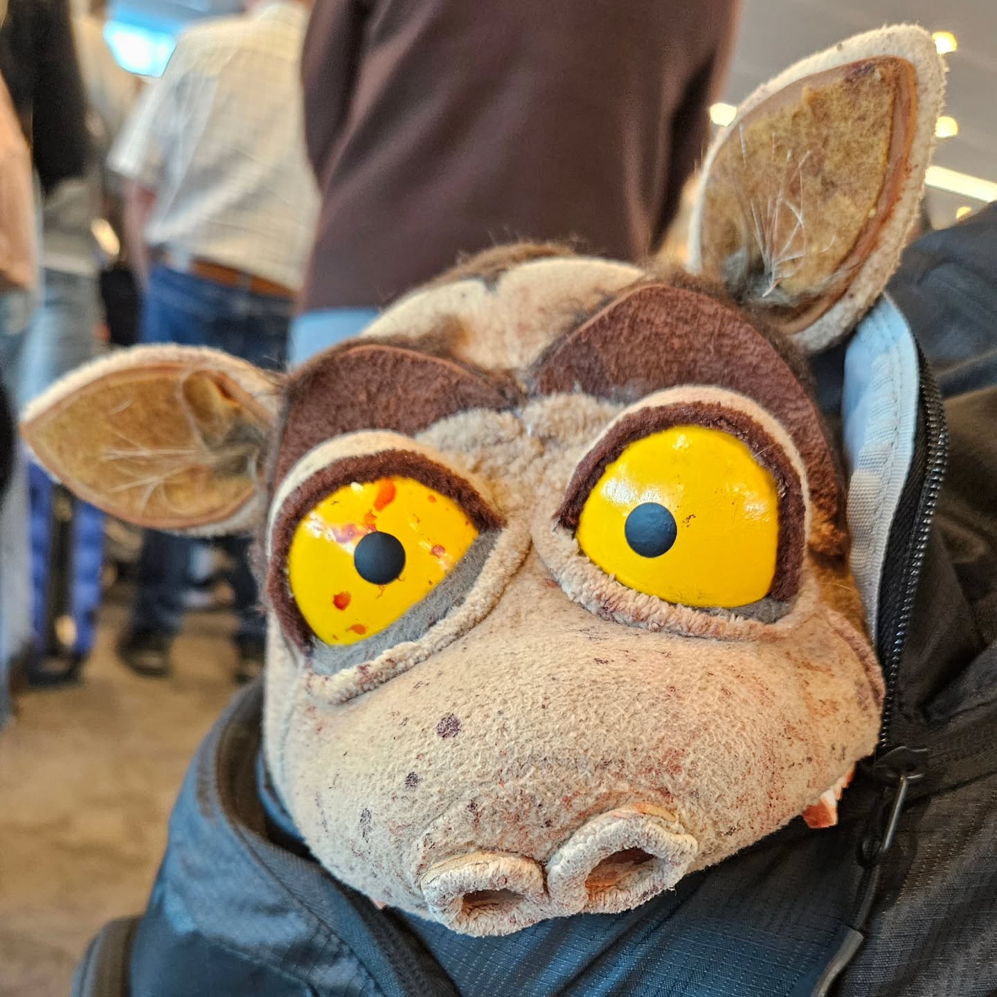 On the road again @austinhorrorfilmfest
#McConadillaMovie #mcconadilla #horrorcomedy #AustinHorrorFilmFest