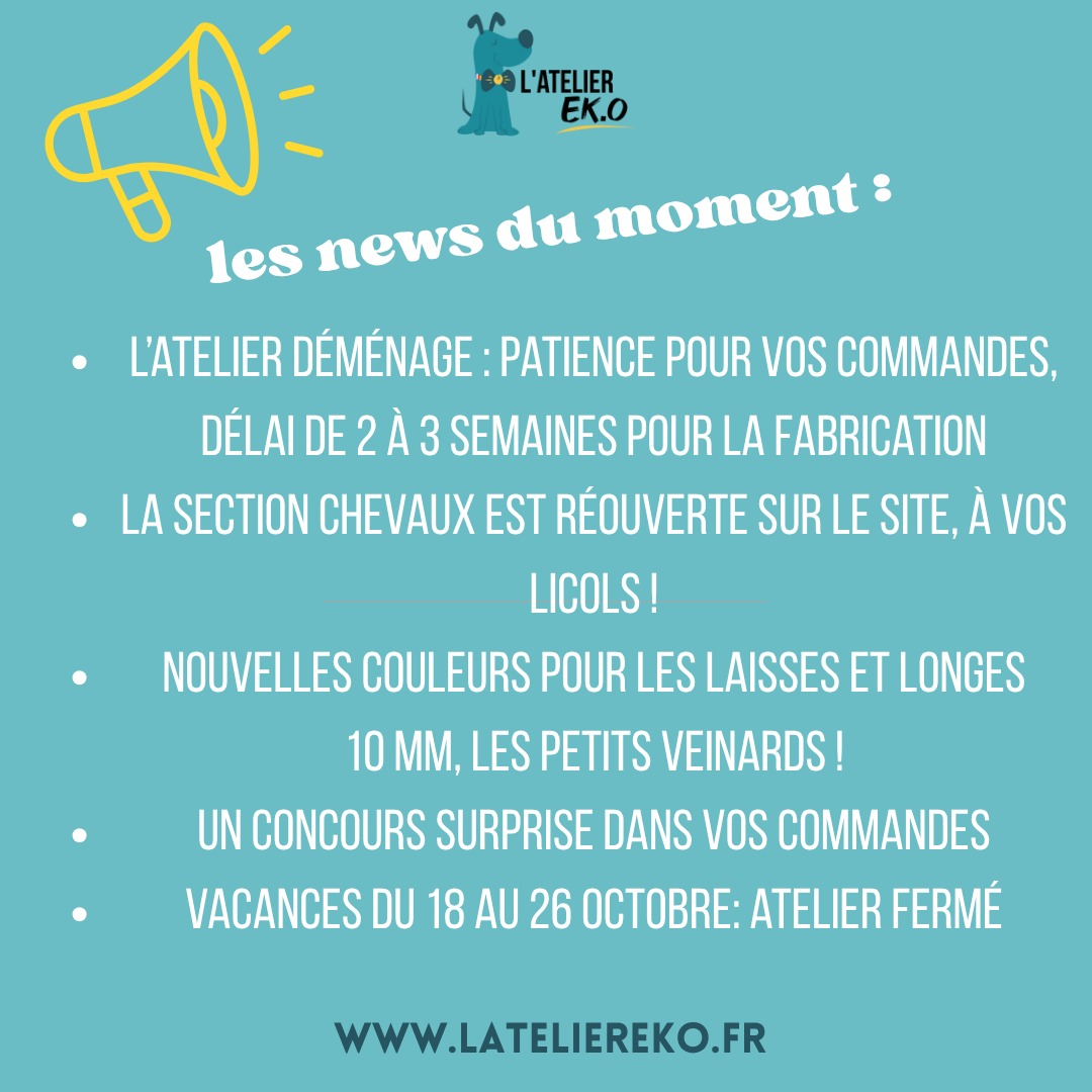 Breaking newwwwws !🎉
#lateliereko #doglovers #artisanatfrancais #autoentrepreneuse #nantes