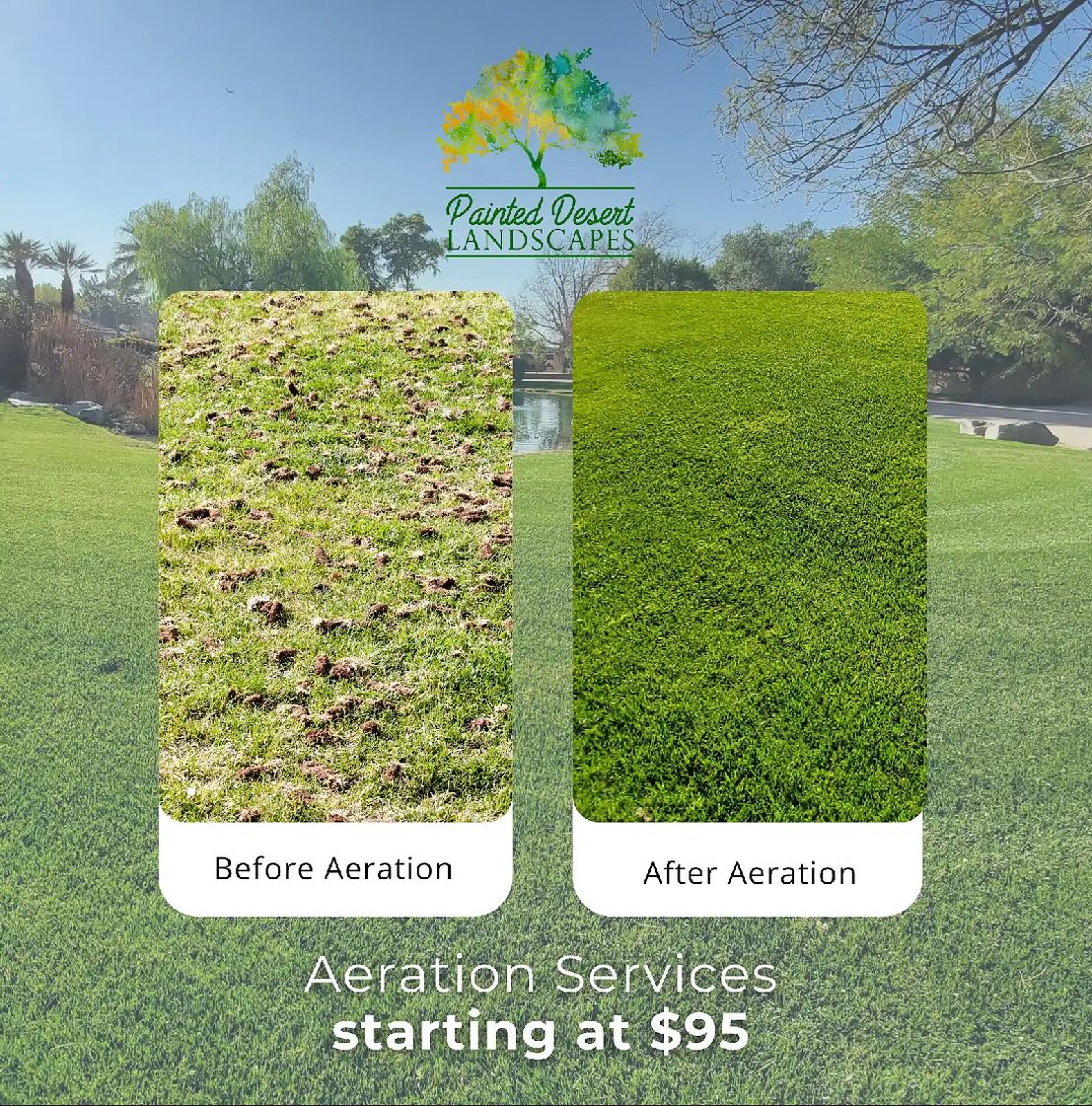 🌾 If you haven’t aerated your lawn in a while, before planting your winter rye is the perfect time to do it!
Over time, soil gets compacted, making it harder for air, water, and nutrients to reach the roots. Aeration — removing small plugs of soil from your lawn — helps:
✅ Improve root growth
💧 Increase water absorption
🌱 Boost seed-to-soil contact for better germination
💪 Strengthen your overall lawn health
Message us now to lock in special pricing!💲#ArizonaLawns #LawnCareTips #WinterGrass #landscaping #beforeandafter