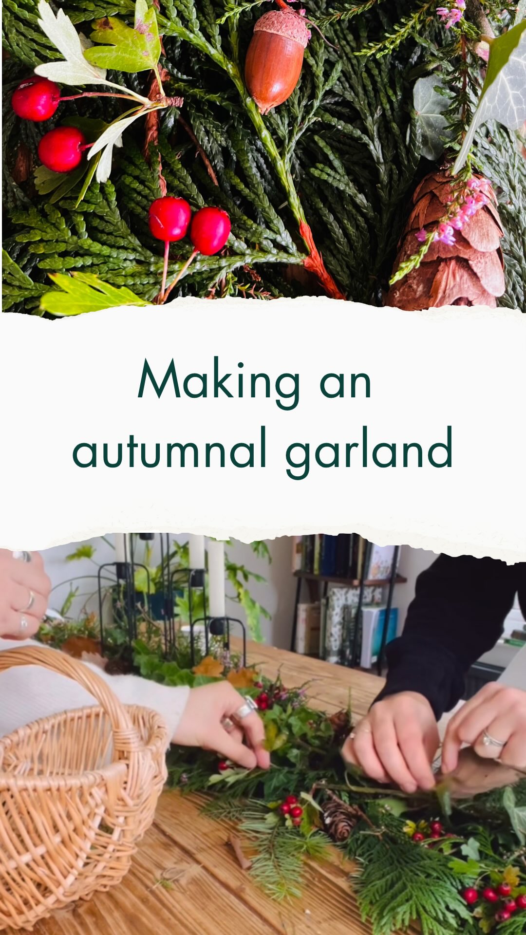 This table garland is SO simple to make its ridiculous! 🍂
All you need is a pair of scissors, I promise.
Simply gather:
- lots of evergreen foliage (think fir, ivy, cypress)
- items for accent eg hawthorn, oak leaves, acorns, pine comes
I had a candle holder in the middle but you don’t need one. You could use tea lights in jars if you wanted.
Lay the evergreen foliage down first.
If you have no candles: Lay each strand in the same direction, one overlapping the next.
If you have a big candle holder you could change direction in the middle so they are being laid in the direction away from the candles: up to
You!
Then simply dot the accents around the evergreen.
No need for floristry tape or anything.
There’s something grounding about gathering what’s already around us — ivy, berries, seed heads — and letting the season shape the table.
It’s a quiet reminder that beauty doesn’t have to be bought, and that the wild world always has something to offer if we slow down long enough to notice.
A garland like this isn’t just decoration — it’s a way of belonging.
🌿 Save this and let me know if you plan on making it 👇