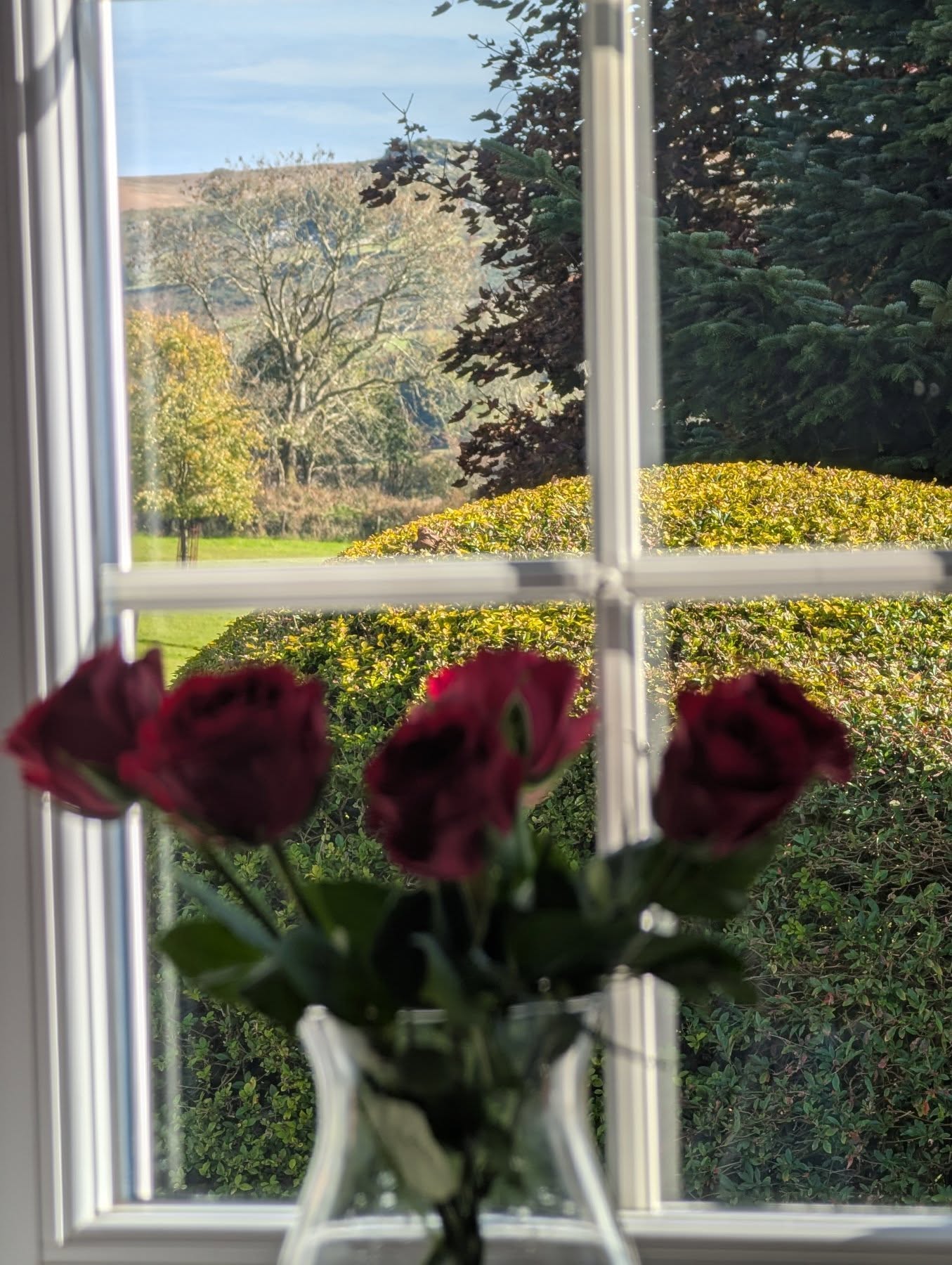 Rooms with a view ❤️ Happy Friday everyone 😁
.
.
.
.
#lowerwillsworthy #escapetothecountry #escapetothecottage #dartmoorholidays #dartmoornationalpark #dartmoorholidaycottage #cottagecore #cottageholidays #vistdartmoor #visitdevon #views #holidaycottagesuk #ukbreaks #dartmoor