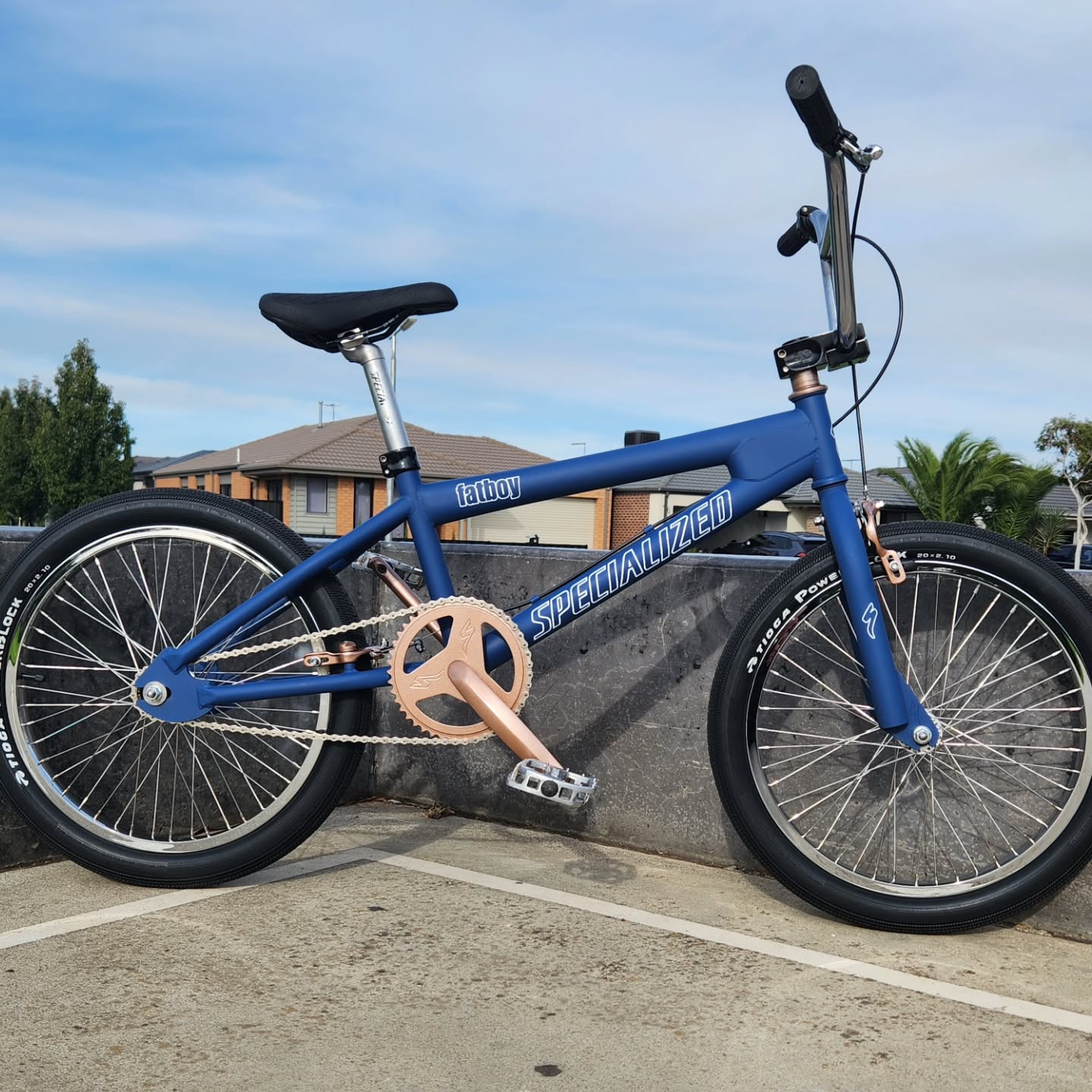 Mid School BMX ground up reno, in Dulux dura max chalky finish blue...
#specialized #bmx #duluxaus #dulux #duluxcolour