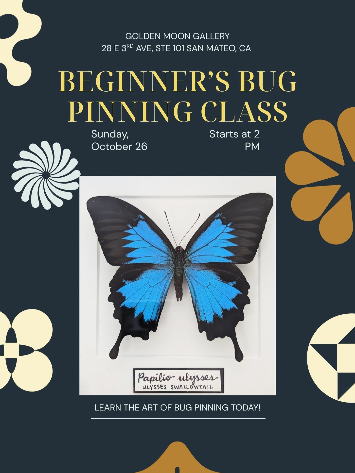 Step into the art of preservation! Join us Oct 26 at 2PM for a hands-on Butterfly Pinning Class, perfect for curious beginners and nature lovers alike. ✨ register via link in bio!
Spaces are limited, come create something beautiful.
#goldenmoongallery #thingstodo #bugpinning #events #sanmateo #diy #datenight #halloween #shopsmall #weekend #bayarea #artists #bayarea