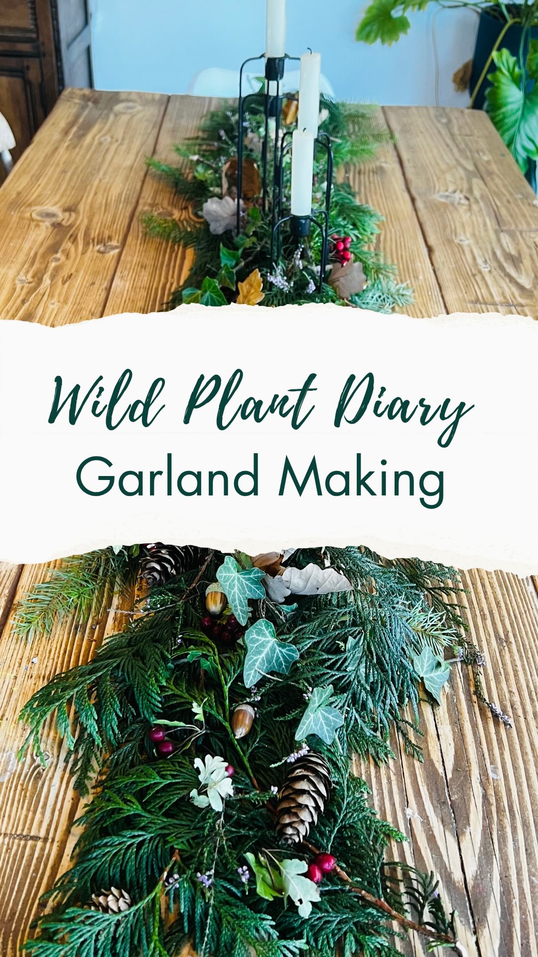 Have you tried foraging seasonal decorations?? It’s so much fun! (And totally free!) 🧡💛🧡This weekend I made an autumnal wreath for the dining room table with my cousin Stella @wildbeautyjournals We had so much fun making it and laughed a LOT!! It was entirely foraged, made from Douglas fir, ivy, heather, hawthorn, acorns, and golden oak leaves we foraged together. A little celebration of autumn arriving and the harvest moon. 🍂 How have you been marking the seasons changing?