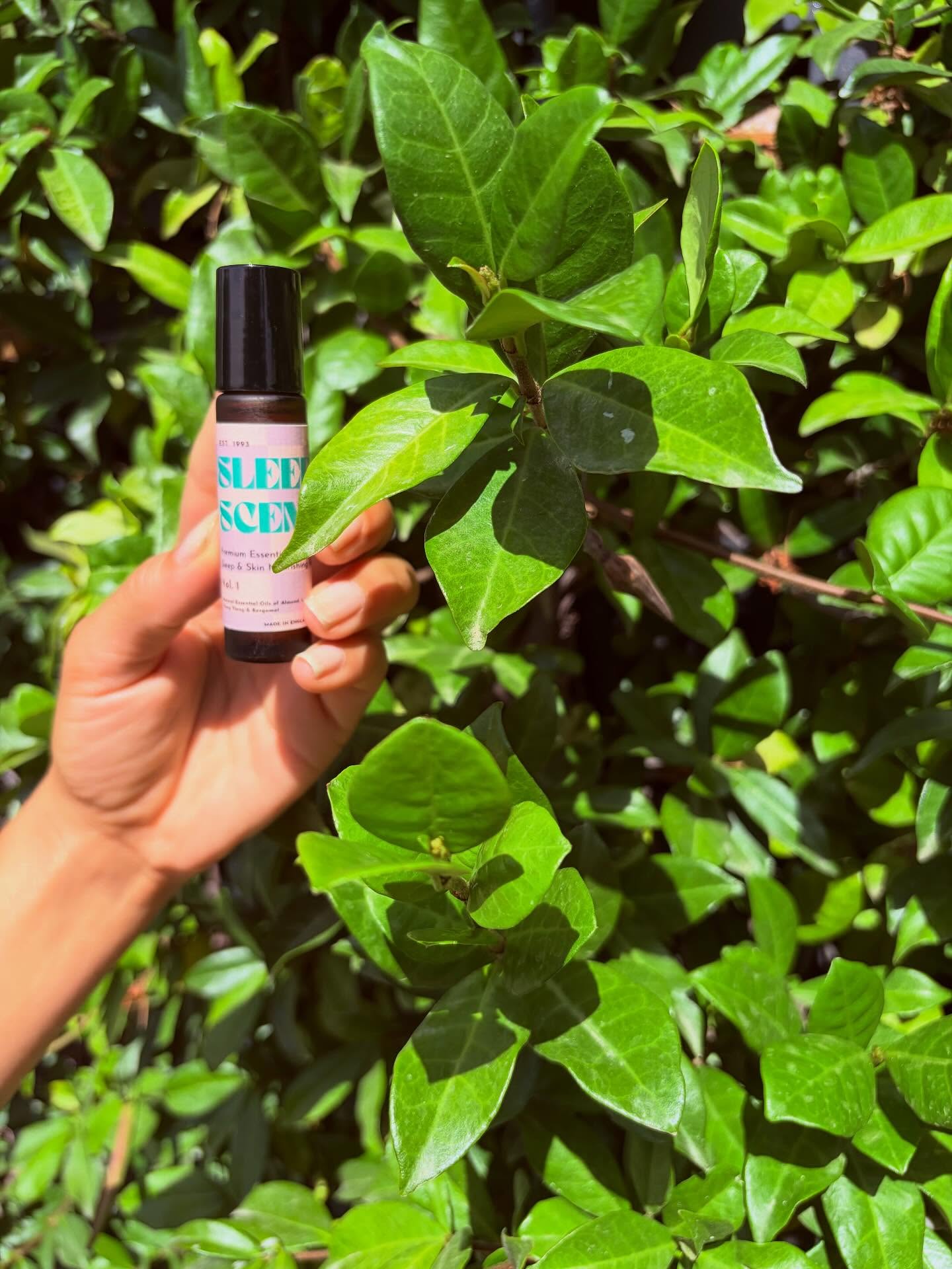 Sleep & Skin Nourishing Pulse Point Roller Ball
#sleepscents #sleepbetter #almondoil #bergamot #ylangylang #chamomile #lavender #sleeproller #skin #skincare