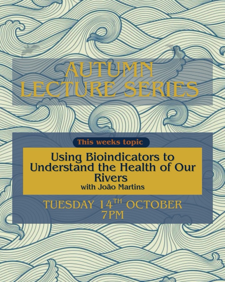 This Tuesday Join João Martins with us where we will dive into the world of bioindicators and how they can help us assess the health of our rivers.
Learn about the different organisms that can indicate the quality of our waterways and what their presence means for the environment.
We will have real life specimens from the river.
This in-person event will be a great opportunity to connect with fellow nature enthusiasts and gain a deeper understanding of how we can protect our precious rivers.
Get your free tickets through Eventbrite, link in our bio.
Tuesday 14th October, 7pm Falls Hotel
🐟 Everyone and anyone is invited to join 🐟
#ennistymon #ballymacravenriver #rbra #bioindicator #macroinvertebrates #salmon #salmonoid #biodiversity