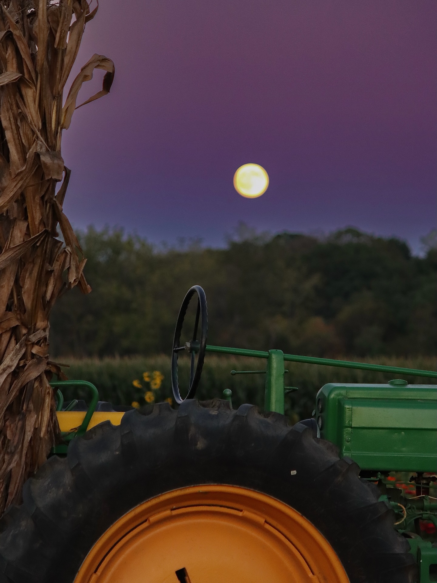 Just a reminder, our Moonlit Corn Maze is this Friday 10/10! Perfect time to experience the farm at night under the moon and stars and truly get lost in our 7 acre corn maze!🌕🌽
(www.stonetavernorchards.com➡️Fall Festivities➡️Upcoming Events)
🌙Moonlit hayride, corn maze, & warm refreshments!
🌟$12.00 per person, tickets only available online @ www.stonetavernorchards.com
🔦Bring your own flashlights!
⏰Friday October 10th, 6:00 PM-10:00 PM, last entry into the maze is strictly 9:00 PM
❓Have more questions? Message us right here on Instagram or email us at hello@stonetavernorchards.com