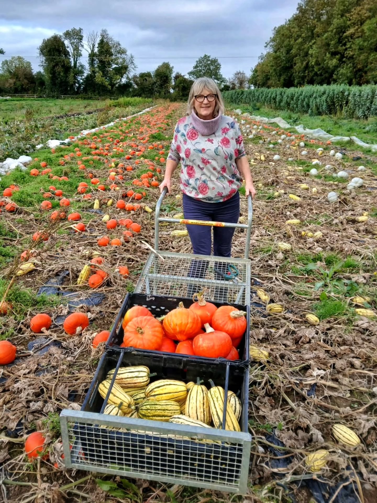 Mags has been pumpkin harvesting with Dermot Carey! 🎃🍂🍁
The very best organically grown squash and pumpkins. These are for eating, too good to waste on carving!
Super tasty and seasonal.
Today we have delicata & red kuri squash available at the Farmers market.
All grown at Ballincarey Farm in Athy Co.Kildare.
#pumpkin #organic #squash #irish #seasonal #farmersmarket #supportlocal #supportirish