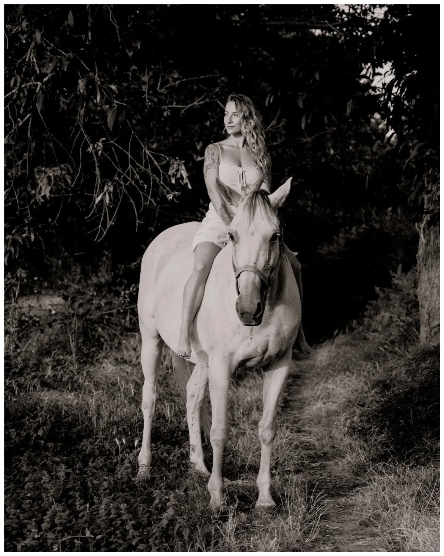 ⚡Se nos acaban las tardes doradas, las puestas que calientan la piel, los pies descalzos y las melenas llenas de salitre.
Revisando y limpiando los discos encontré esta parte de la sesión con Carmen y Saúl que aún no había puesto en el feed… y no podía dejarla guardada, tenia que tener un huequito aquí.
.
.
.
.
.#couplegoals💑#couplesphotography #parejas #fotografiaparejas #pareja #couplephotography #photograpy #photoftheday #photographygoals #melanymfotografia #luznatural #50mmphotography #portrait_ig #horses_of_instagram #horses #horsephotography