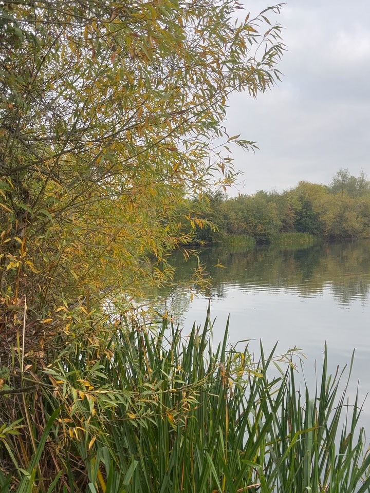Peaceful at the lake today, and then the Parkrunners came past đ¤Łđ.
I had a rest day today, sore leg.
If youâre injured longer term then focusing on your diet is key for recovery. Injuries and repairs need extra calories and protein but thatâs got to be balanced with health and body composition. There are also anti inflammatory strategies, but at the right time. Itâs also a time to focus on overall health, get done tests done and really personalise that diet. Sort out that dodgy digestion?!
Donât do it alone, get some helpâŚ. You know where I am!
#running #injuries #parkrun #triathlon #microbiome