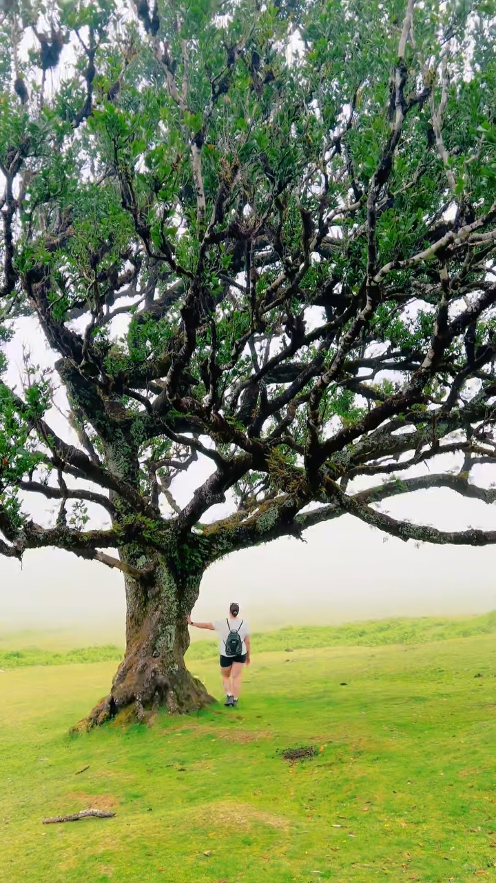 Perception is everything 😌 #fanal #forest #quote #life #fyp