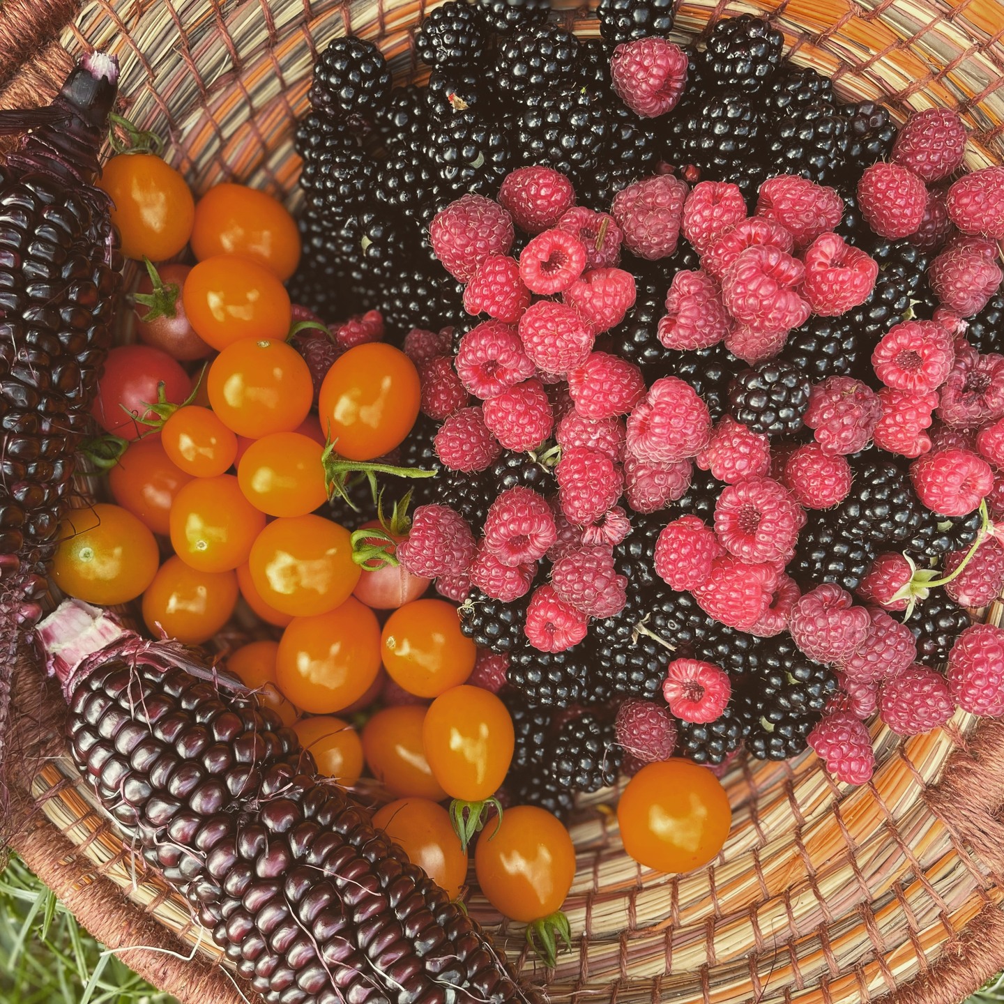 Celebrating Indigenous Peoples' Day. May we all give thanks to Mother Earth and to the 7 generations who came before us, and may we live for the 7 generations to come. Check out this new series on PBS... https://www.pbs.org/show/rematriated-voices-with-michelle-schenandoah/