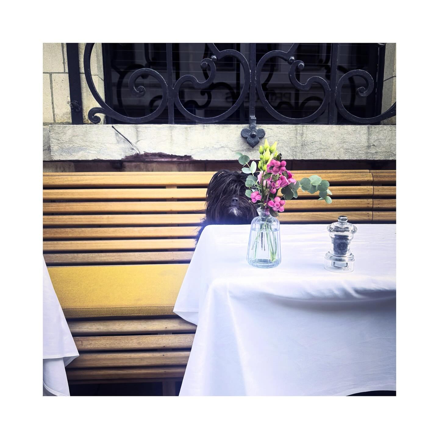 Health is not only shaped by what we eat, but also by why, when, how & with whom we eat.
The act of eating is deeply connected to our nervous system, hormones, emotions & even our sense of belonging.
Sharing a meal, even with a loyal four-legged companion such as Summer, has measurable physiological benefits. Connection & calm activate the parasympathetic nervous system, shifting the body into a “rest & digest” state. In this state, digestion flows efficiently, enzymes are released properly, blood sugar stabilises & nutrient absorption improves.
In contrast, eating while rushed, anxious, or distracted keeps the body in a mild stress response. The sympathetic nervous system remains dominant - blood flow is diverted away from the digestive organs, insulin and cortisol rise, & we are left feeling unsatisfied, bloated, or craving more.
Human beings were designed to eat in rhythm with connection. Shared meals regulate not only metabolism but mood; they release oxytocin, the bonding hormone, which lowers stress & supports cardiovascular health. The conversation, the laughter, the simple act of pausing - these are all parts of the meal your body registers as nourishment.
So yes, eat the colourful vegetables, the balanced macros, the mindful portions. But do not forget the company, the calm & the joy. They are part of the recipe for true wellbeing. 🌿
.
.
.
.
.
#FunctionalNutrition #RestAndDigest #MindfulEating #SocialHealth #NervousSystemRegulation #NutritionWithIntention #FunctionalMedicine #HealthCoach #FMCHC #ImperiumHealthCoaching #YourHealthYourPower