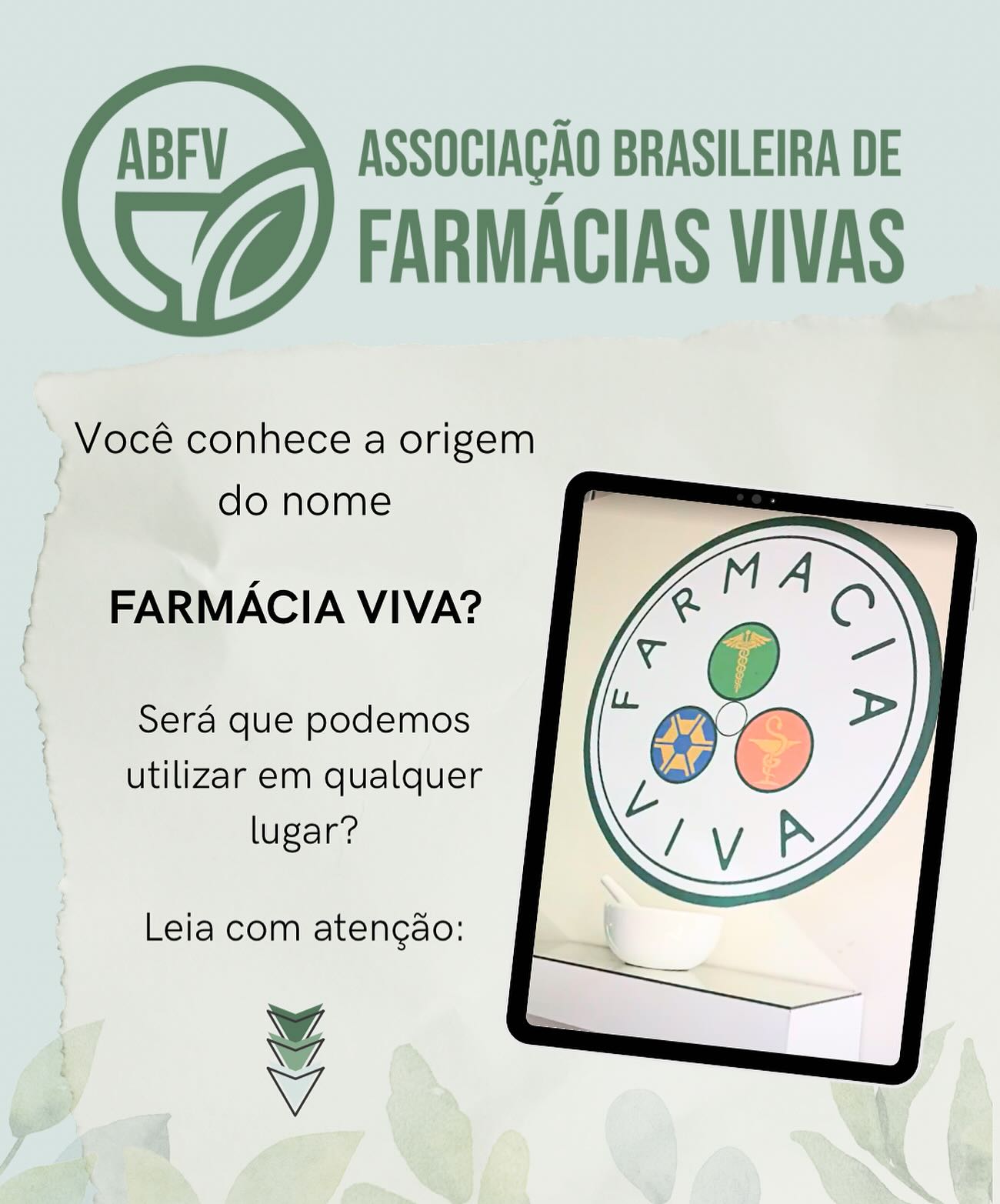 🌱O termo “Farmácia Viva” foi cunhado década de 80 pelo Prof. Francisco José de Abreu Matos, da Universidade Federal do Ceará, para nomear um modelo de serviço de Fitoterapia público voltado ao cultivo, beneficiamento, manipulação e dispensação de preparações oficinais de plantas medicinais e fitoterápicos, com base na ciência aliada ao conhecimento tradicional.
🎯Reconhecidas pelo Ministério da Saúde, as Farmácias Vivas foram institucionalizadas por meio da Portaria nº 886/2010 como um serviço público do Sistema Único de Saúde (SUS). Elas devem realizar todas as etapas — desde o cultivo até a dispensação ao usuário.
🤝Mais do que um espaço físico, a Farmácia Viva é um instrumento de política pública que valoriza os saberes tradicionais e promove o diálogo entre ciência, cultura e território. Seu uso deve ser restrito aos serviços do Sistema Único de Saúde (SUS), não podendo ser aplicado a estabelecimentos comerciais ou privados.
.
#farmaciaviva #farmaciasvivas #fitoterapiabrasileira #fitoterápicos #sus #fitoterapicosnosus #plantasmedicinais