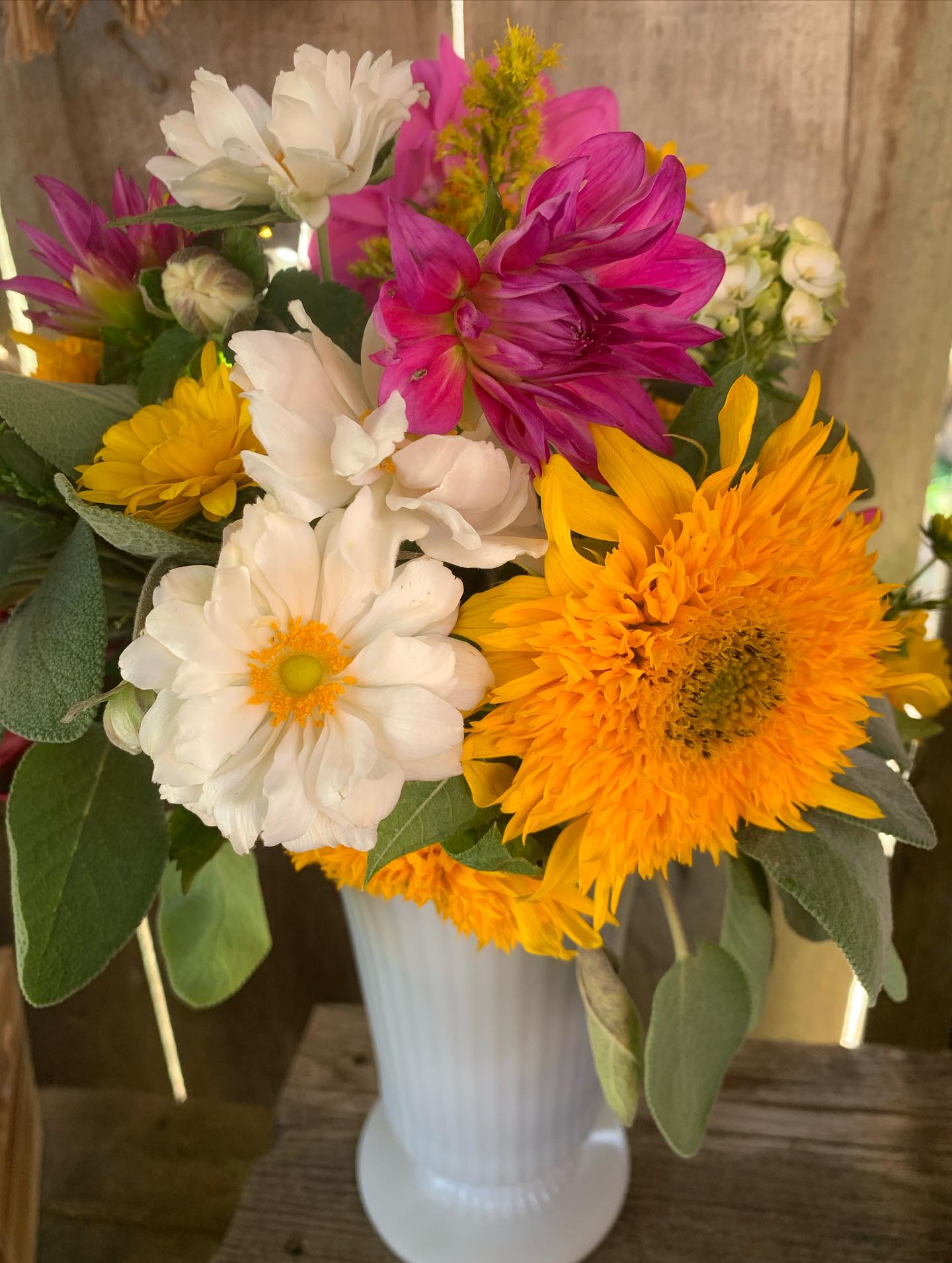 Frost has come, and the field grown flower season is winding down, but not before one last HUGE harvest!!! We picked WAY MORE gorgeous blooms than we need so we will have just the perfect bloom for your Thanksgiving flowers!
Drop by the farm stand this weekend for ready made bouquets AND a fully stocked bouquet bar! Select a bouquet or just a stem or two - whatever suits you best - but don’t delay! The season is winding down and this weekend is a great time to enjoy the remaining flowers of the season.
If you can’t make it to the farm stand, order online and we’ll bring flowers to you tomorrow! It isn’t too late - order before midnight tonight and we’ll deliver your flowers tomorrow. (But remember) this Friday, October 10th is the last available delivery date before Thanksgiving.)
Order online at: http://www.thegardeninharrington.com
Or drop by the farm stand at 336813 33rd Line, Embro all weekend 9am-6pm.
#Thegardeninharrington #harringtonontario #tavistockontario #tavistockontarioflowers #harringtonontarioflowers #embroontario #embroontarioflowers #embroontarioflowerdelivery #tavistockontarioflowerdelivery #thamesfordontario #lakesideontario #stmarysontario #stmarysontarioflowers #stmarysontarioflowerdelivery #woodstockontario #woodstockontarioflowers #woodstockontarioflowerdelivery #hicksonontario #flowerfarm #canadianflowerfarmer #ontarioflowerfarm #ontarioflowerfarmer #oxfordcounty #perthcounty #stratfordontario #stratfordontarioflowers #stratfordontarioflowerdelivery #freshflowers #haveyouseenaflowerfarmyet