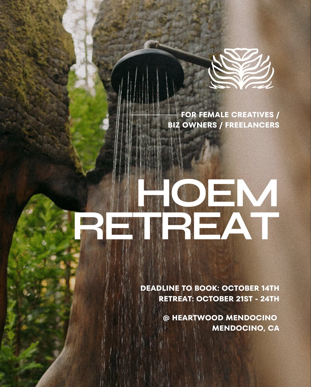 ATTN: LESS THAN ONE WEEK TO BOOK. 🚨
To our last minute ladies, we have one luxe solo cabin + one share with a friend cabin remaining (best value). We will cutoff bookings on October 14 at 11:59 PM — unless it sells out sooner.
Come experience the magic of HOEM x @heartwood_mendocino with us and slide into our DMs with any questions.
PC: @hollyshankland