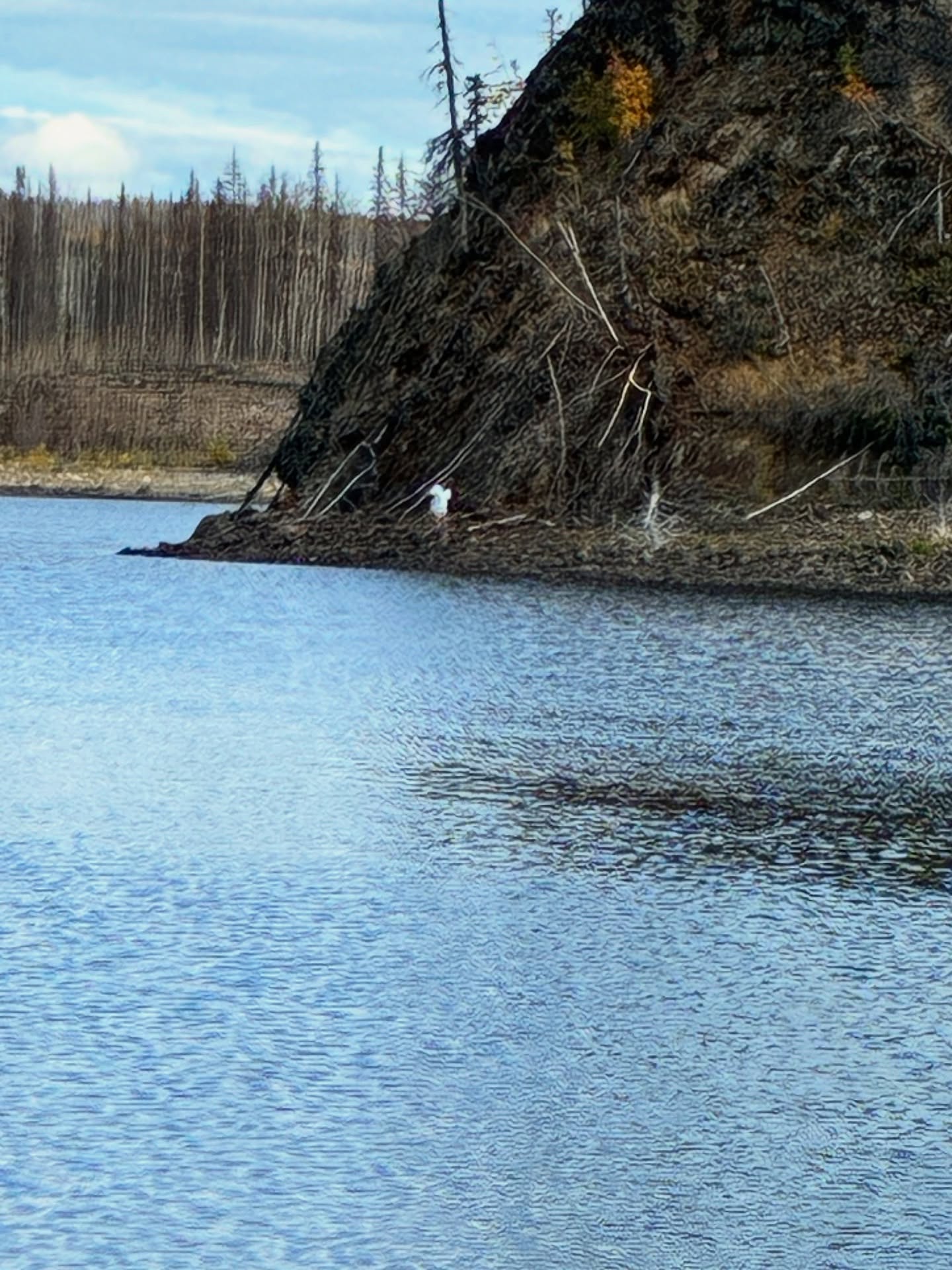 My buddy took a pic of me on the moose hunt said I look like a ghost. I’m like I don’t know if that’s a good or a bad thing 😬. Have a great day everyone. New Videos out on you tube now.