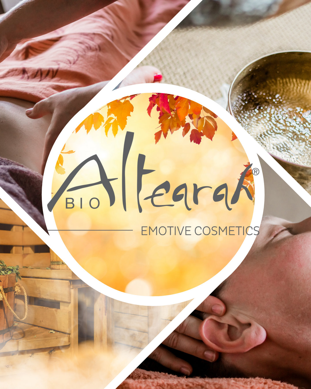 News d'automne Alchimoon