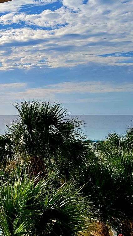 Why should you hire an interior designer?
Because great design is about more than choosing pretty things—it’s about intention, proportion, and the details that make a space feel right.
This little moment (at our beach condo rental 🫣) was a good reminder: design decisions matter—and the wrong ones can really steal the show.
Here’s to beautiful, functional design done with purpose.
#interiordesigner #interiors #designdetailsmatter
