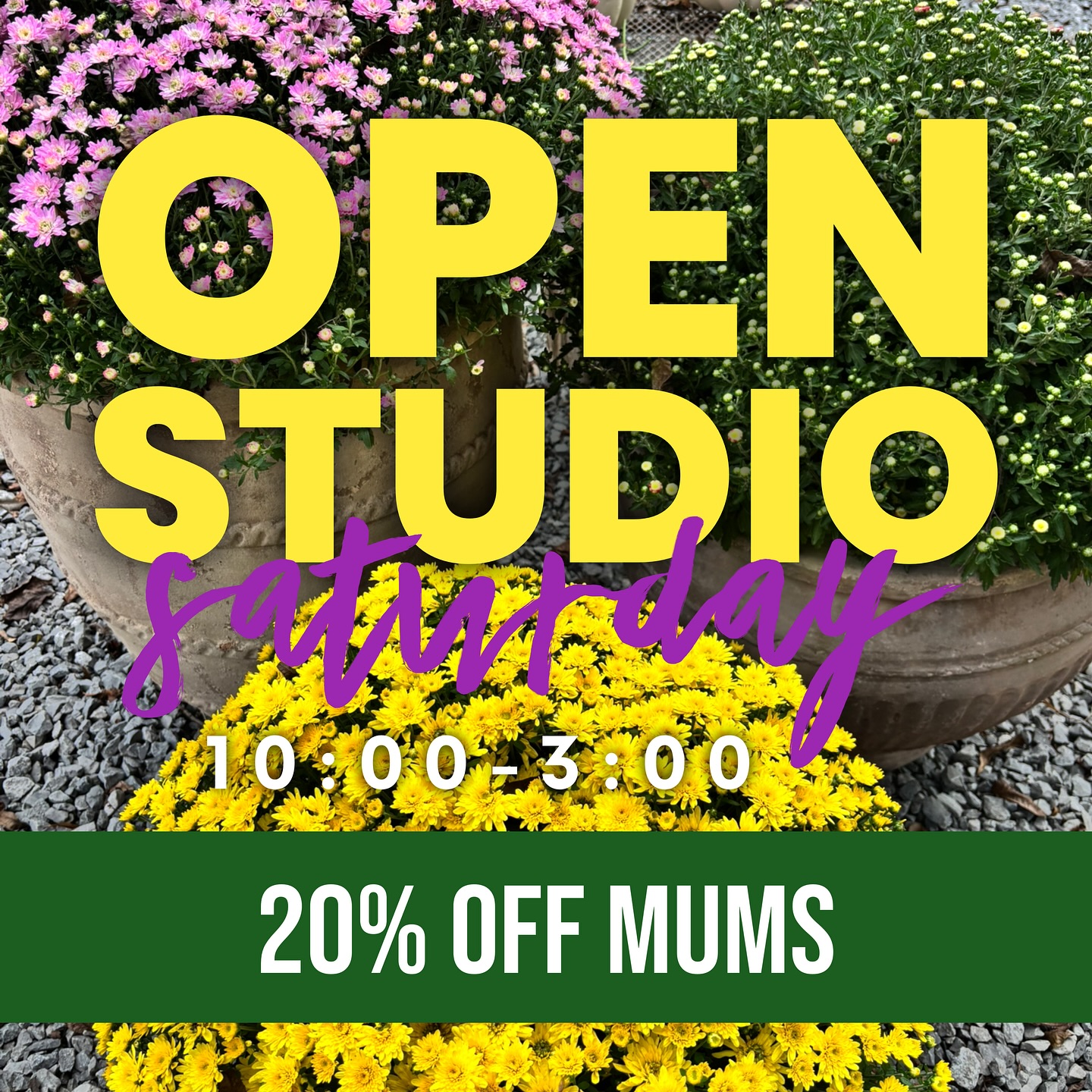 Open studio Saturday, 10:00-3:00. Save 20% on fall mums!