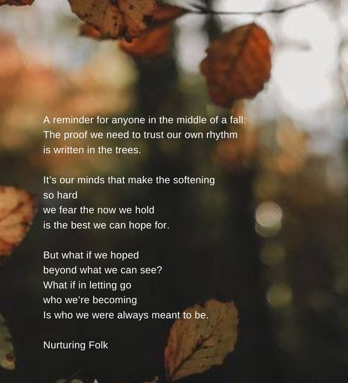 There’s always a moment, during change,
when our hands tighten around what’s asking to fall away.
Call it fear, or resistance, but I wonder if maybe it’s just hard to trust what follows
when we can’t yet see it.
The cycles are there to see in nature, OUR cycles are there to see, but still so many of you tell me autumn brings some very powerful feelings up.
Years ago my toddlers reaction to autumn was such a clear mirror that it lives rent-free in my now. It was the purest lesson in the grief of letting go, and why perhaps we find change (and seasonal change) so hard to surrender to.
We were on a walk, leaves falling like confetti through the air.
“Oh no,” he said softly,
“the tree has let go of its leaves.”
I told him not to worry, that they come back next year.
But he was heartbroken for the tree, so sad that something so beautiful had gone.
“But these leaves are the prettiest,” my toddler cried.
I knelt beside him and tried to reassure him there will always be a spring after winter & that new life always grows.
But he was too little to trust that the tree would bloom again.
And I think often that’s all, even as adults we’re looking for is to know with absolute certainty that something more will come.
It’s the mind that makes softening so hard. The parts of us that find it hard to trust, wondering what if this moment is the most beautiful it will ever be?
But I wonder…
what if we hoped beyond what we can see?
What if we trusted that what’s falling away
is only making space for more of who we are becoming?
That what falls away
was always meant to become the soil for new growth.
If it’s feeling abit like your holding on, in free fall or it’s all just abit messy, let me say: I see you, I am you AND it’s ok, it will happen when we’re ready.
Trust your timing xxx
.
.
.
#writersofinstagram #wordstoliveby #poetsofig #natureishealing #natureloversgallery #slowdown #slowlivingmovement #seasonalliving #spiritualawakening #healingjourney #ancestral #october #autumniscoming #seasonofthewitch #hedgewitch #breathworkhealing #energyhealing #soundhealing #somaticexperiencing #radicalselfacceptance
