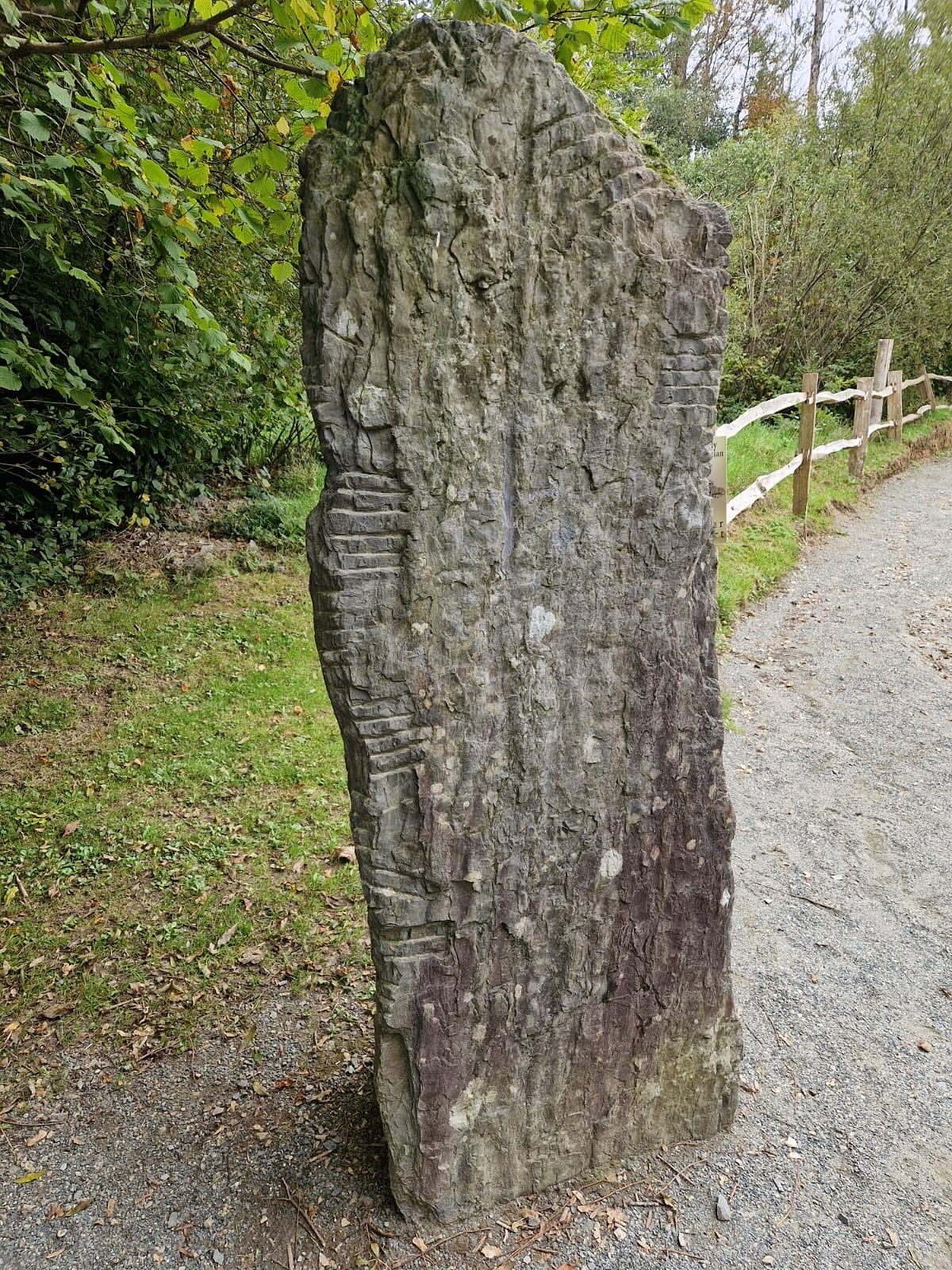 Ever wondered how people lived in Ireland from the Stone Age to the Viking Age? The Irish National Heritage Park in Wexford brings 9,000 years of history to life — from ancient settlements to early Christian sites. A unique journey through Ireland’s past, all in one place.