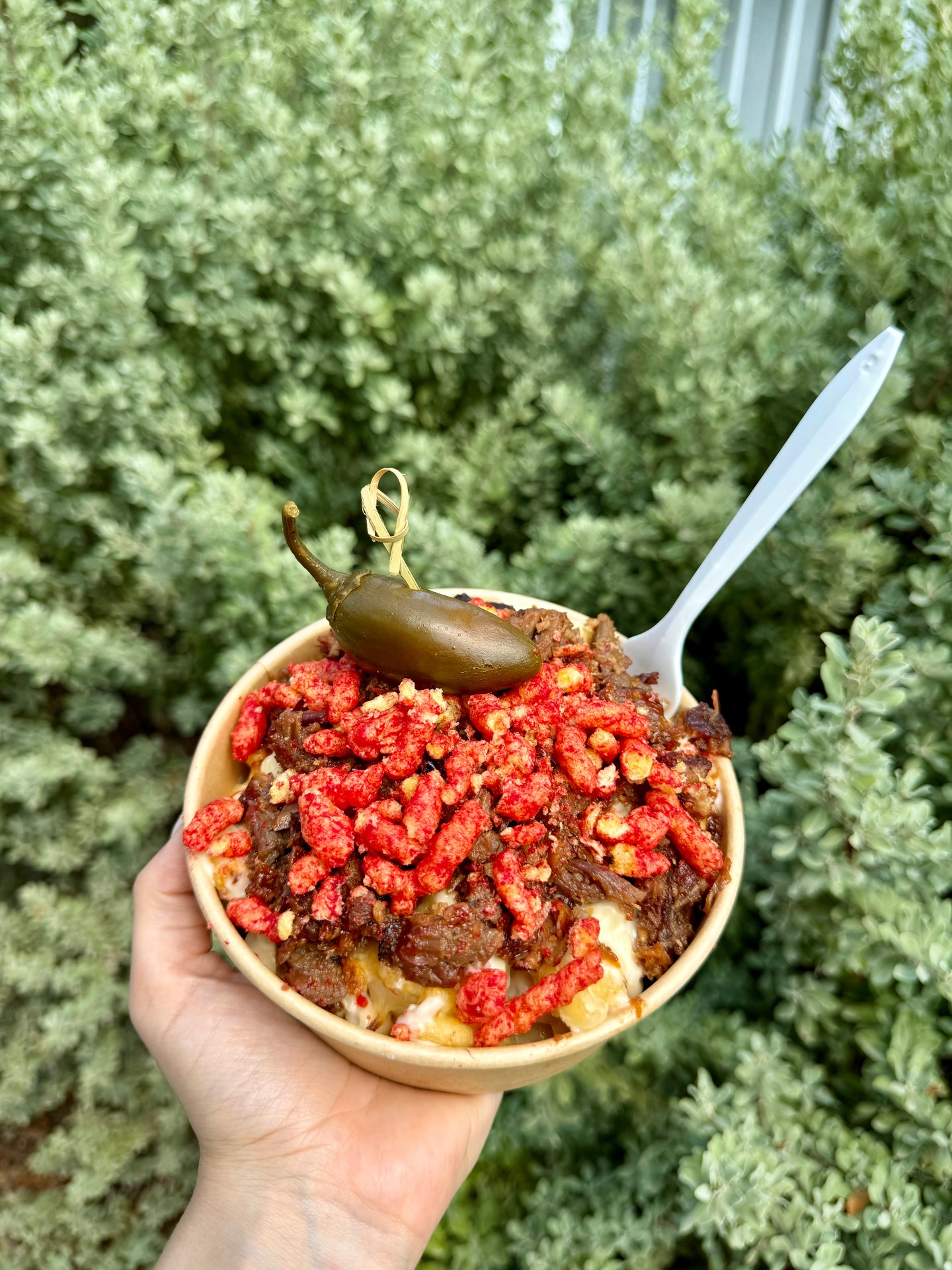 Gonna start a new series each week highlighting some of our most popular food items on the farm. 🤤 Pictured here is our most popular seller, The Monster Mac.
🧀🌶️ Layers of creamy mac n cheese and pulled pork, topped with Hot Cheetos, and a San Antonio staple... a jalapeño!
The Monster Mac can be found at Emily's Wooden Spoon!
Check out what else we've got for ya! devineacresfarm.com/food-and-shopping