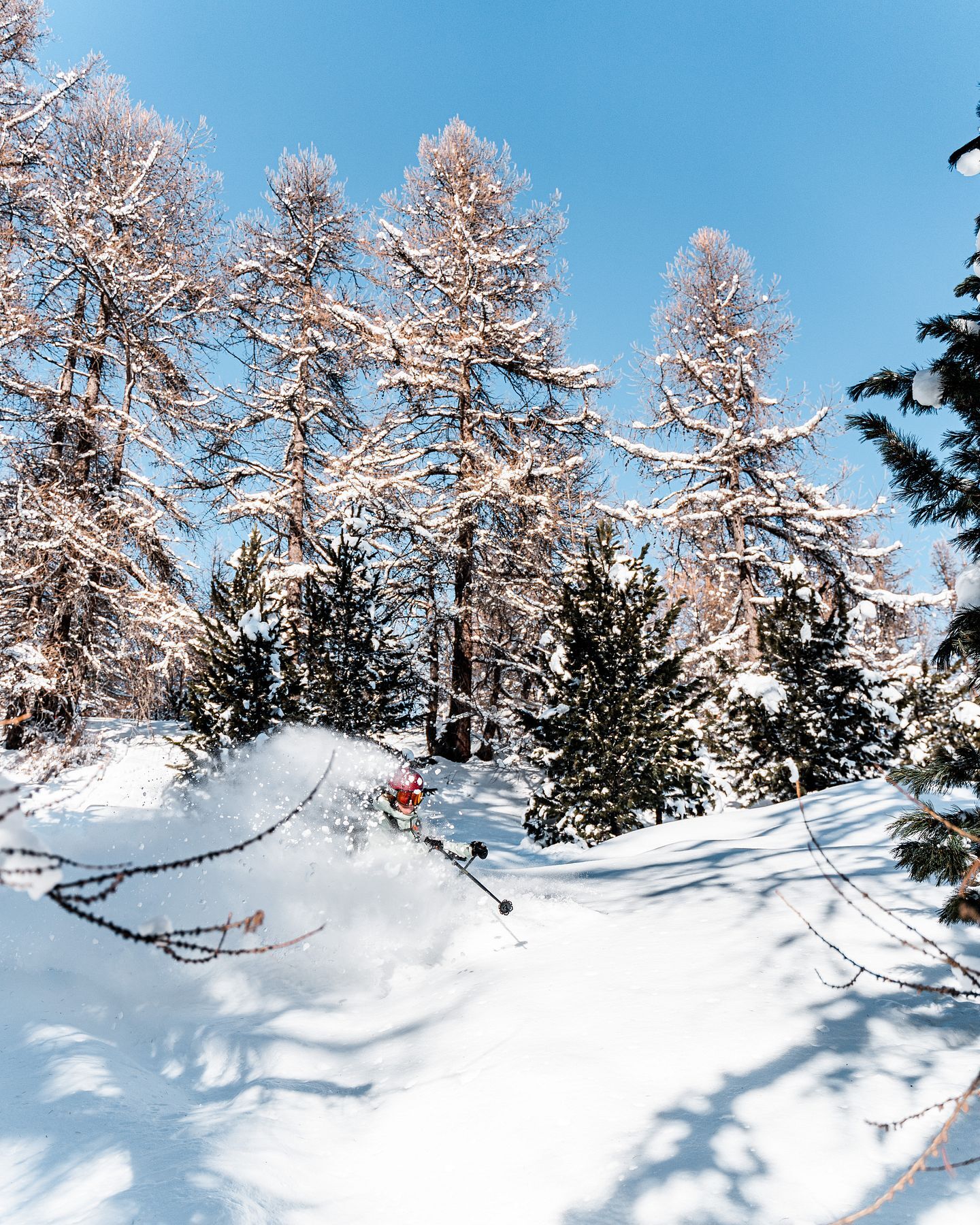 La nouvelle collection Armada est arrivée chez Sportrent ! 🔥
Design, performance et innovation découvrez les nouveaux skis Armada 2025/2026, déjà disponibles en boutique.
Des modèles conçus pour les riders qui veulent repousser leurs limites ❄
📍 Venez les découvrir cet hiver dans nos magasins de Chantemerle & Villeneuve. Nos équipes sont là pour vous conseiller !
#Sportrent #ArmadaSkis #Nouveautés #SkiLife #SerreChevalier